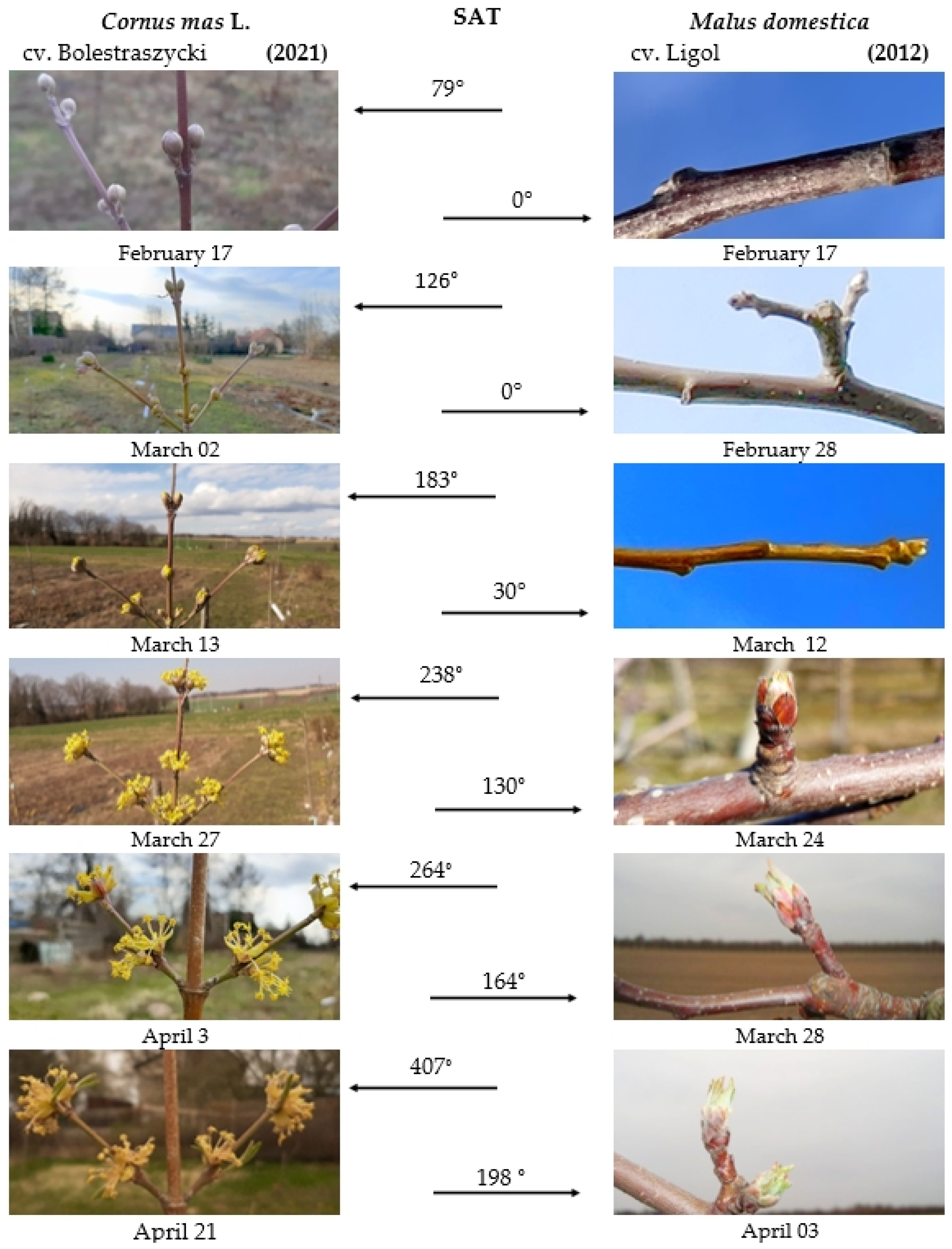 Agriculture 13 00960 g001a