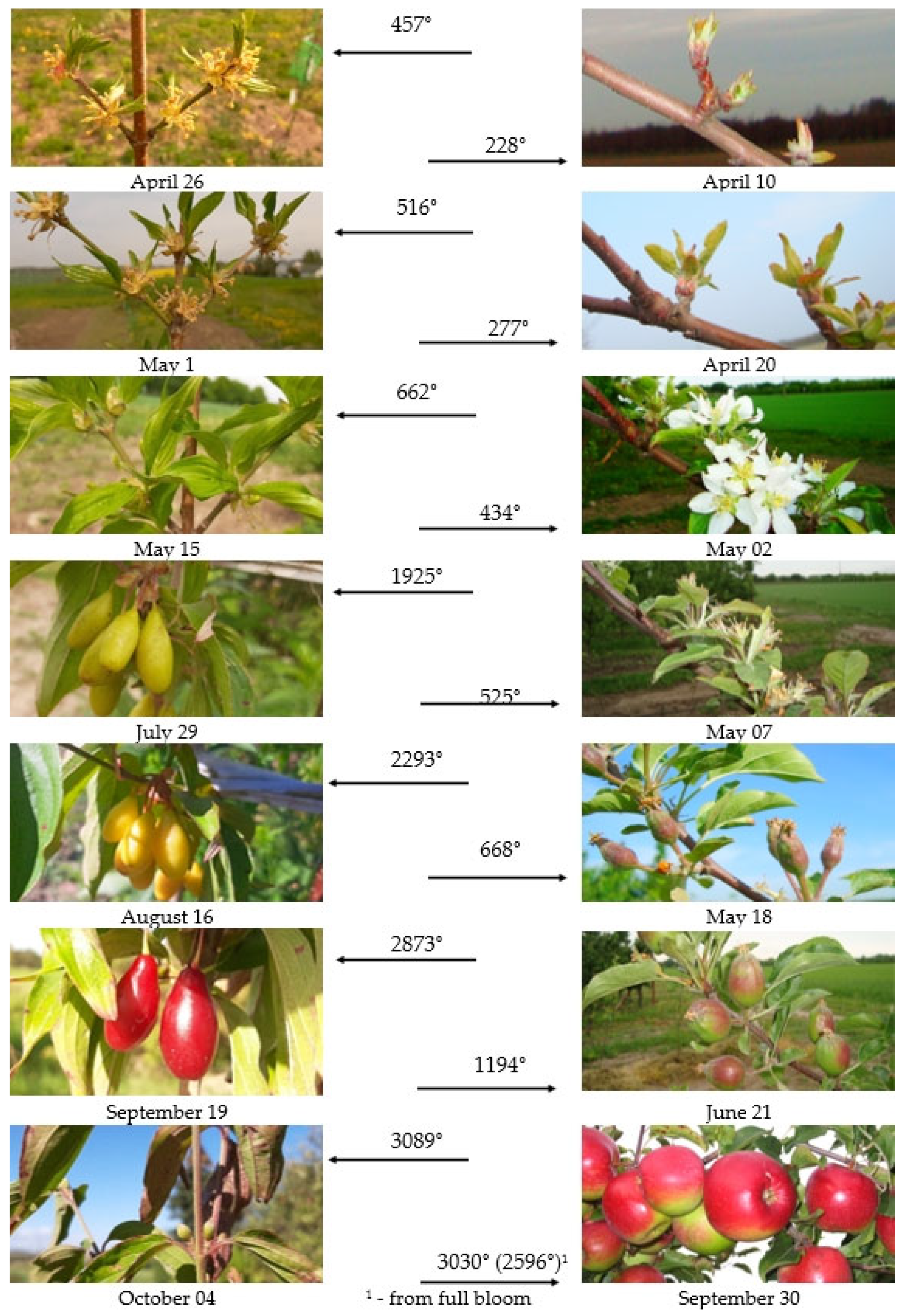 Agriculture 13 00960 g001b