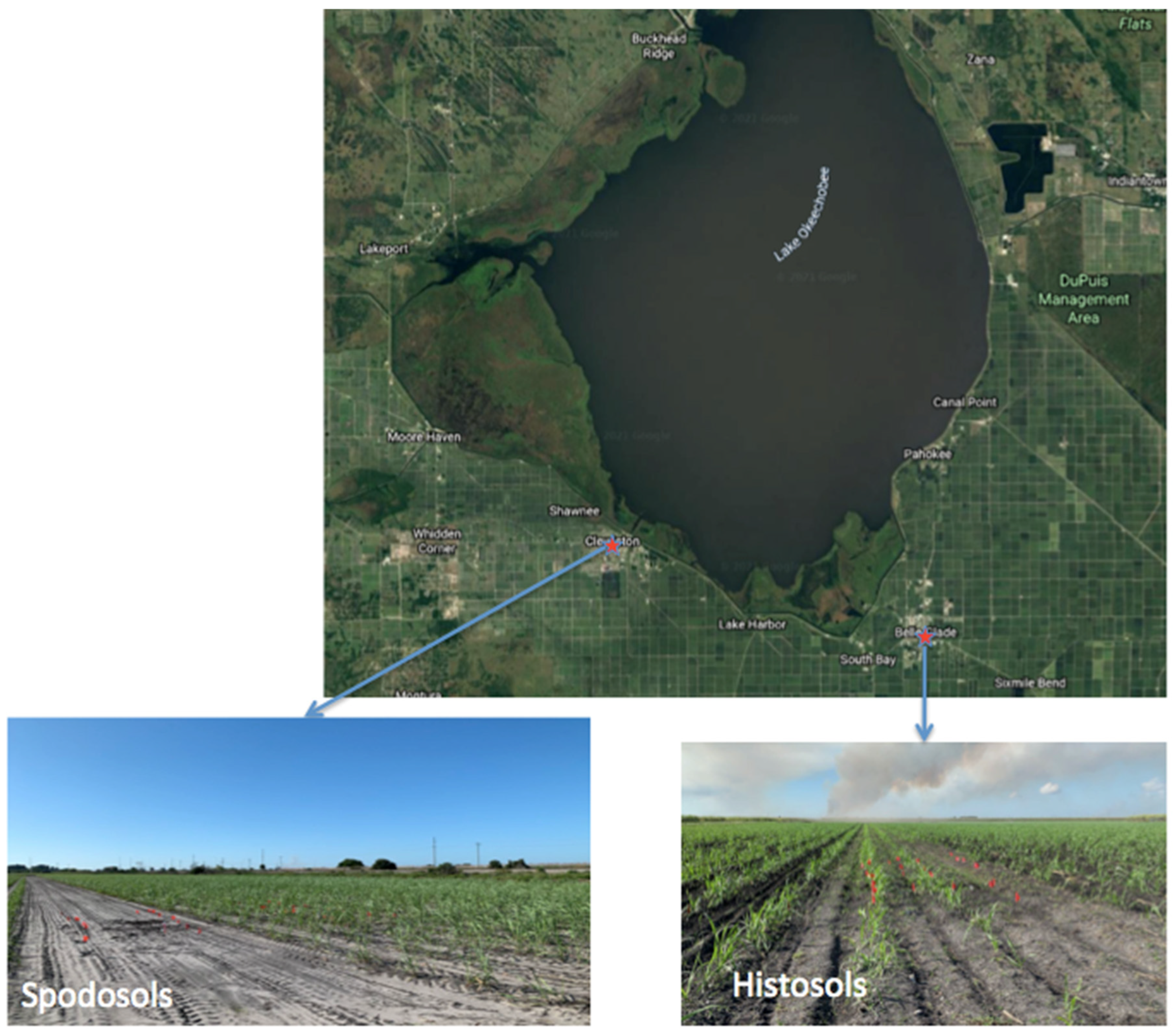 Agriculture 13 00975 g001