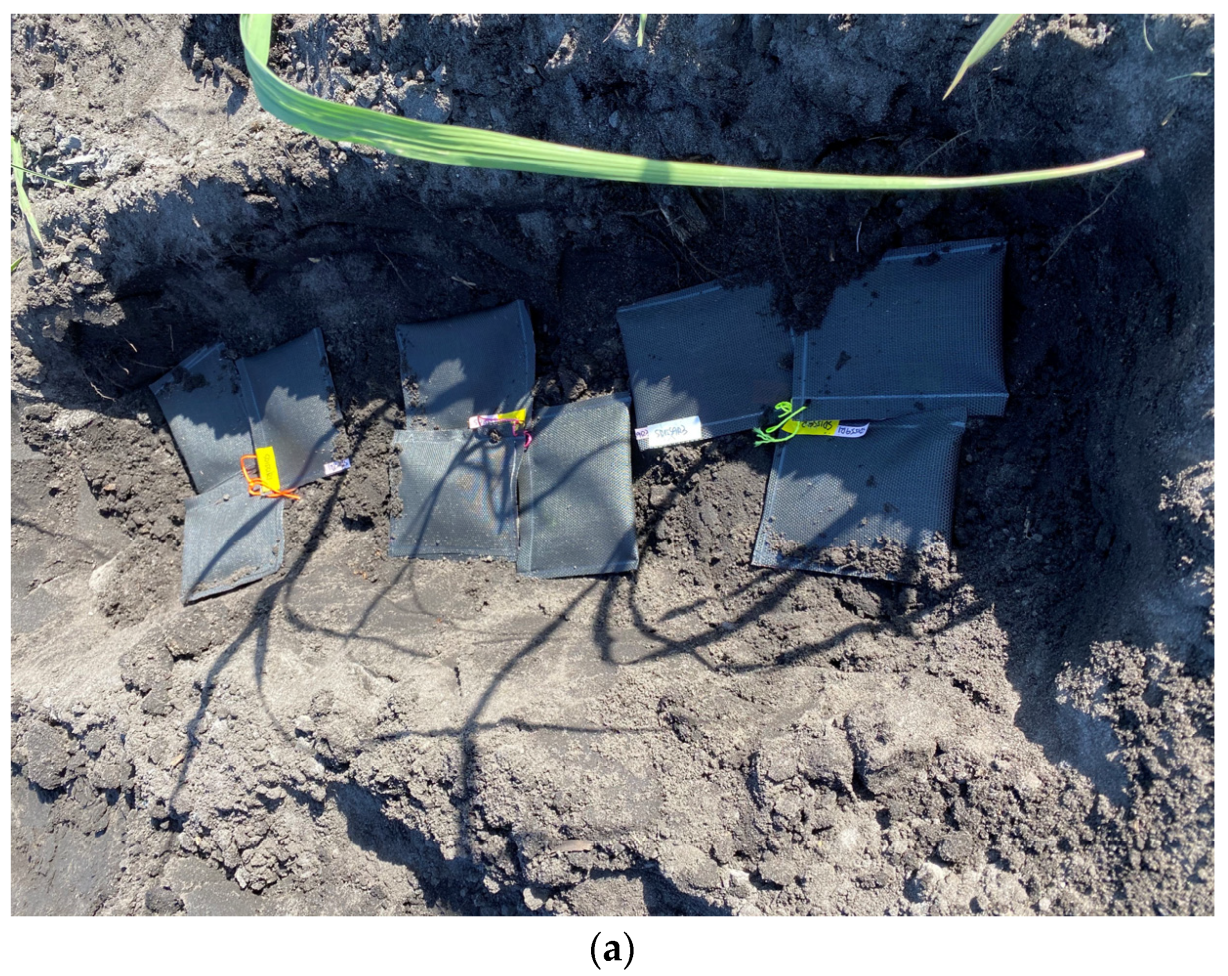 Agriculture 13 00975 g002a