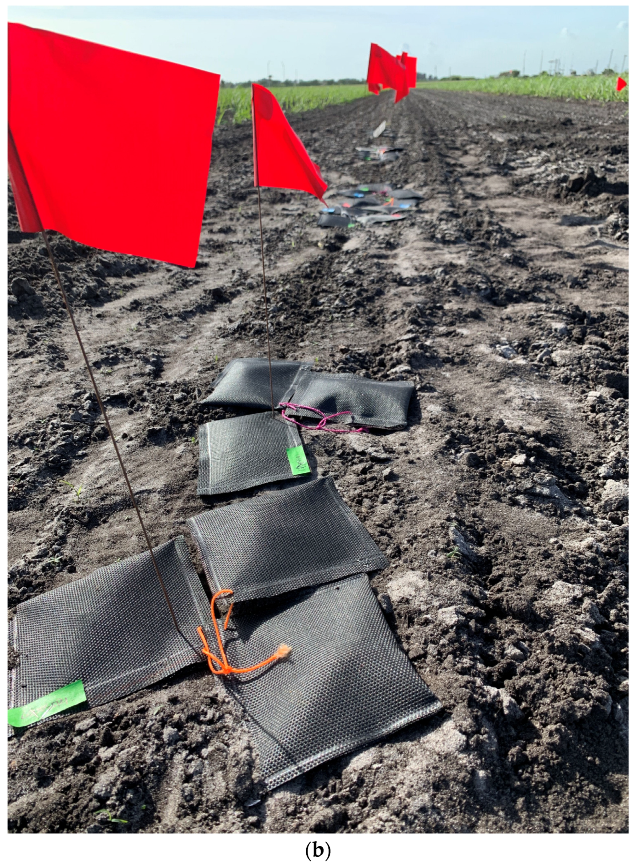 Agriculture 13 00975 g002b