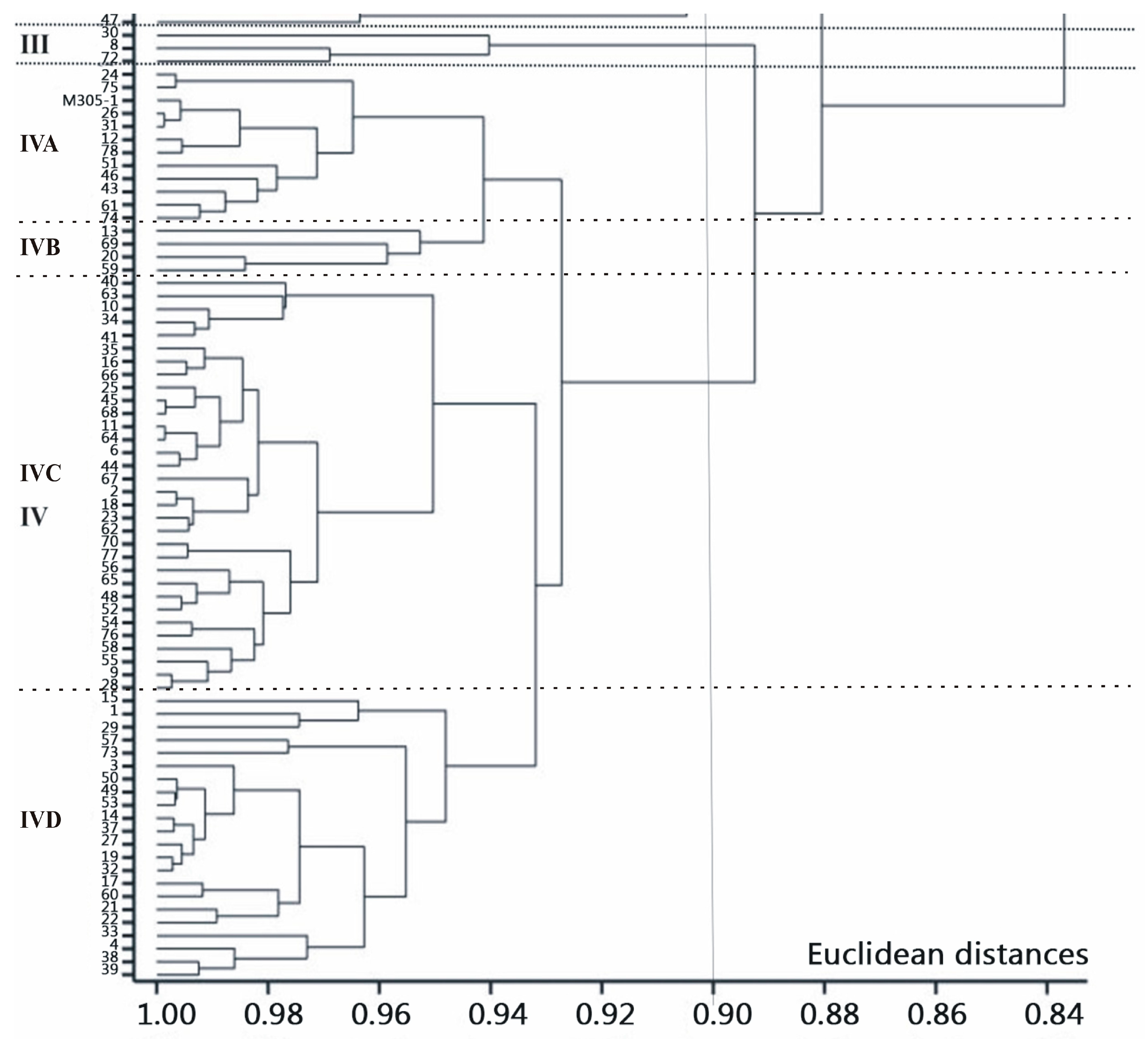 Agriculture 13 00992 g003