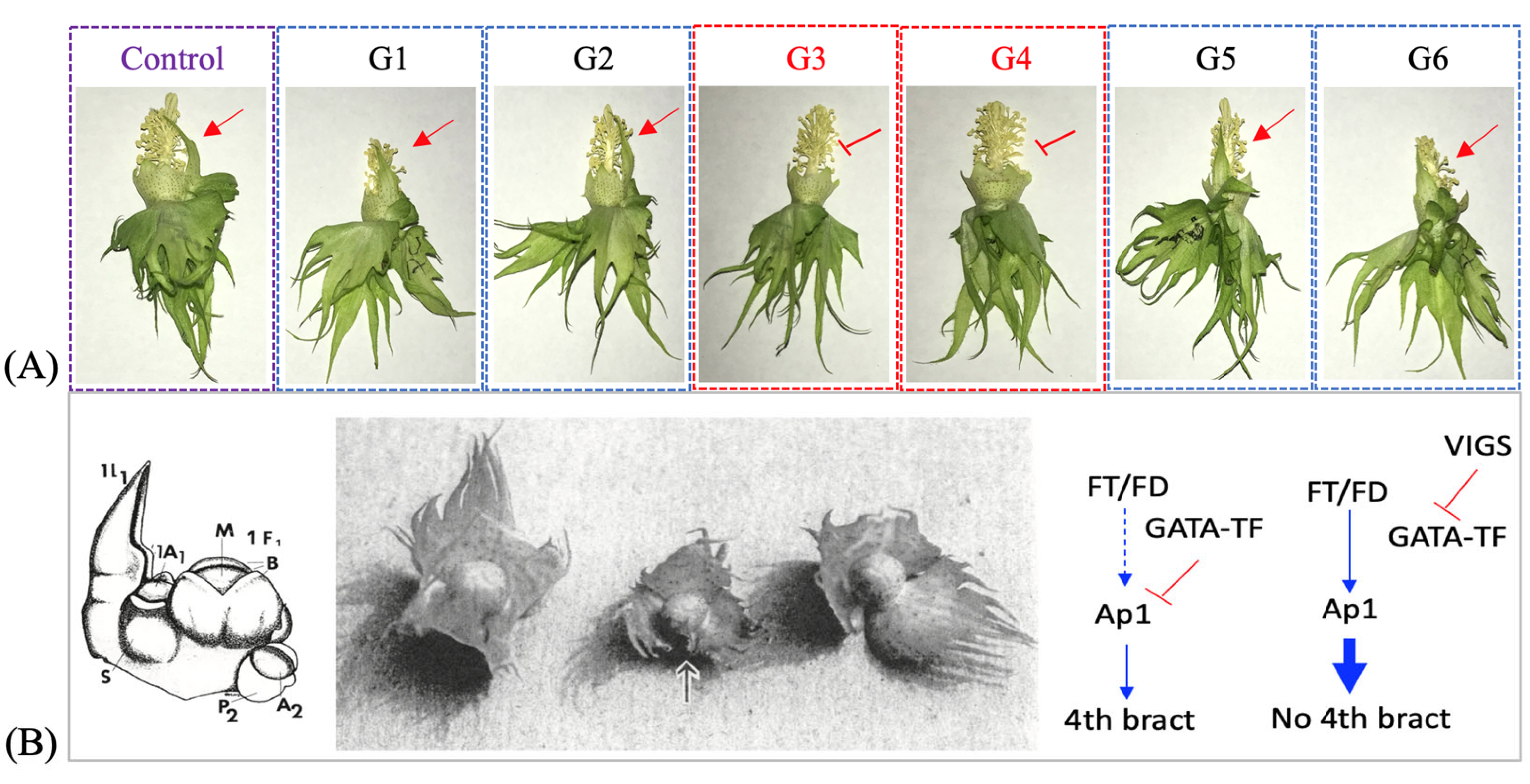 Agriculture 13 01007 g004