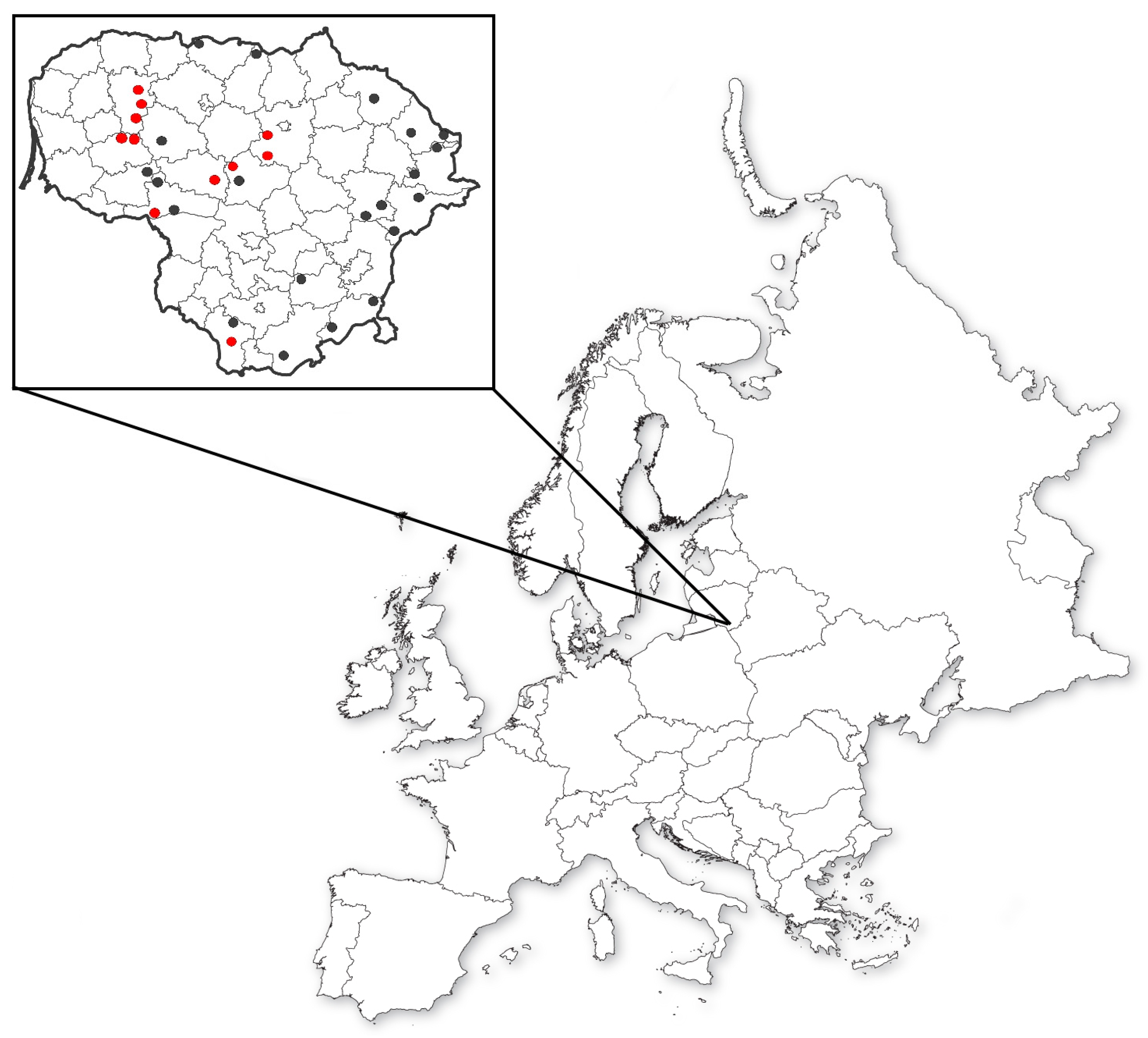 Agriculture 13 01008 g001