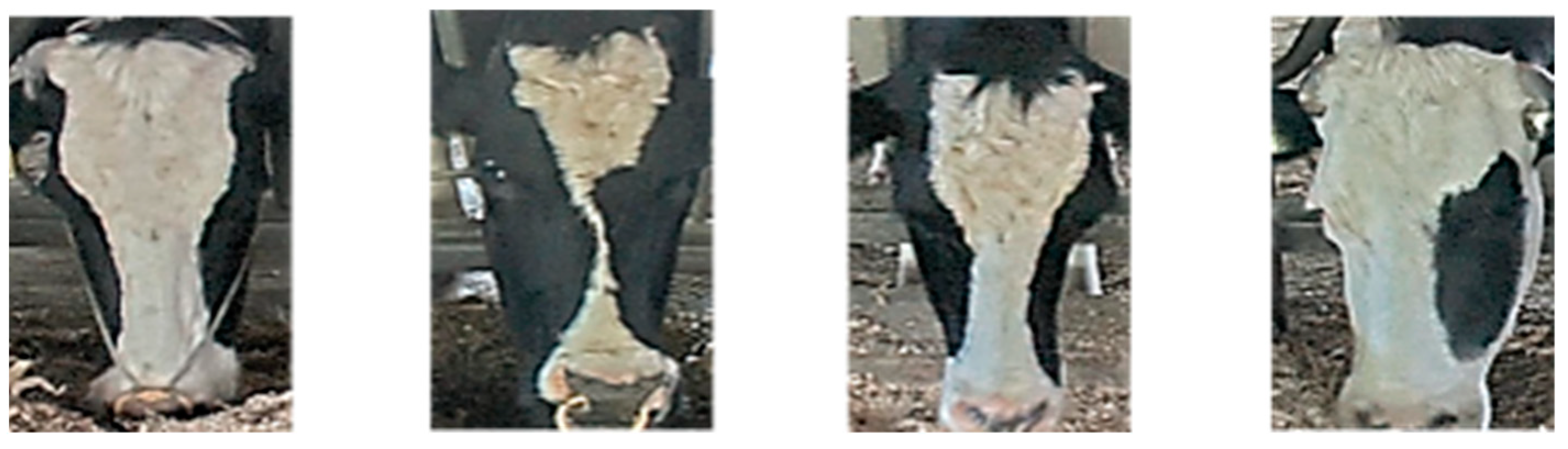 Agriculture 13 01016 g005 Agriculture 13 01016 g005
