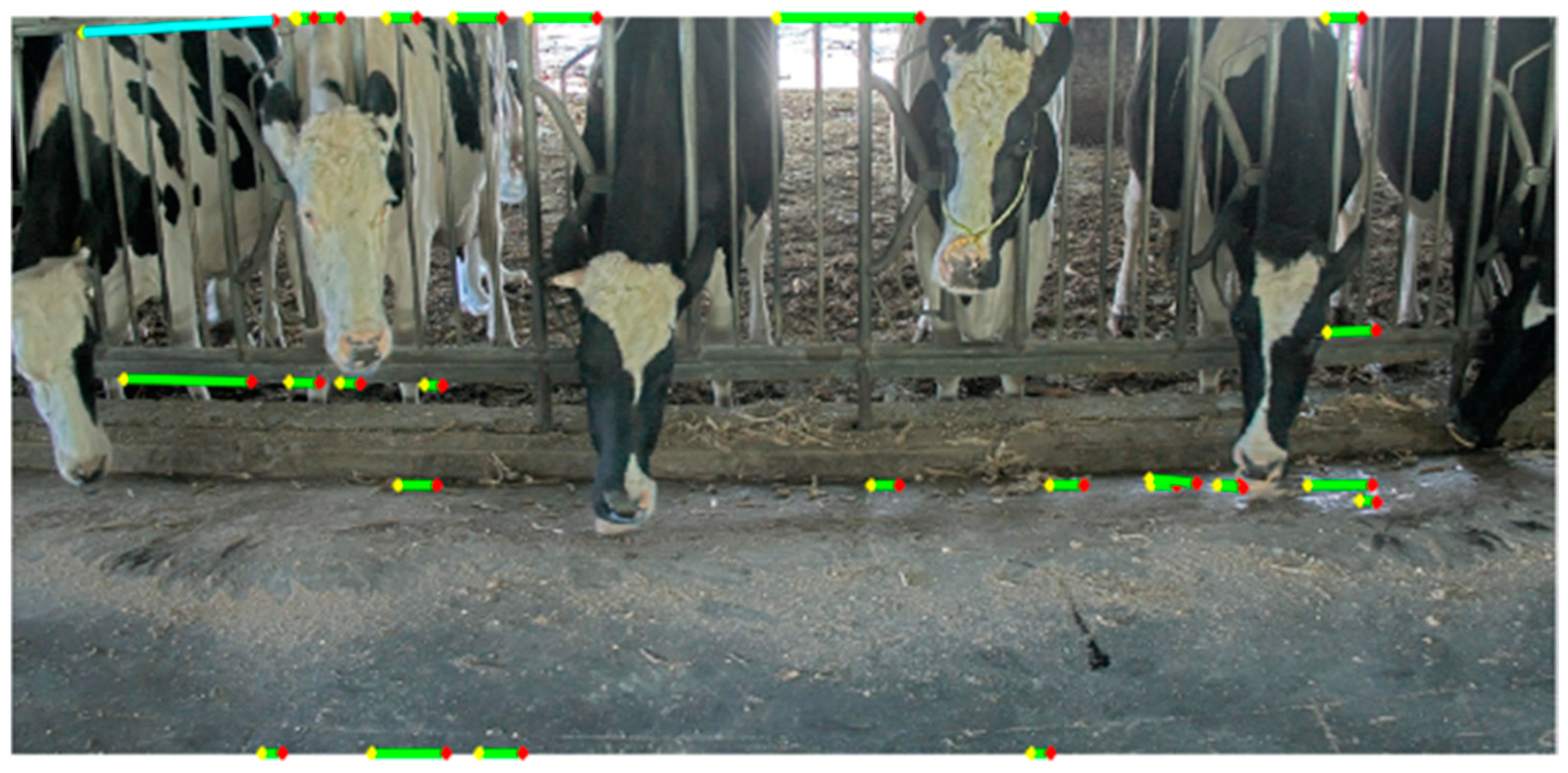 Agriculture 13 01016 g007 Agriculture 13 01016 g007
