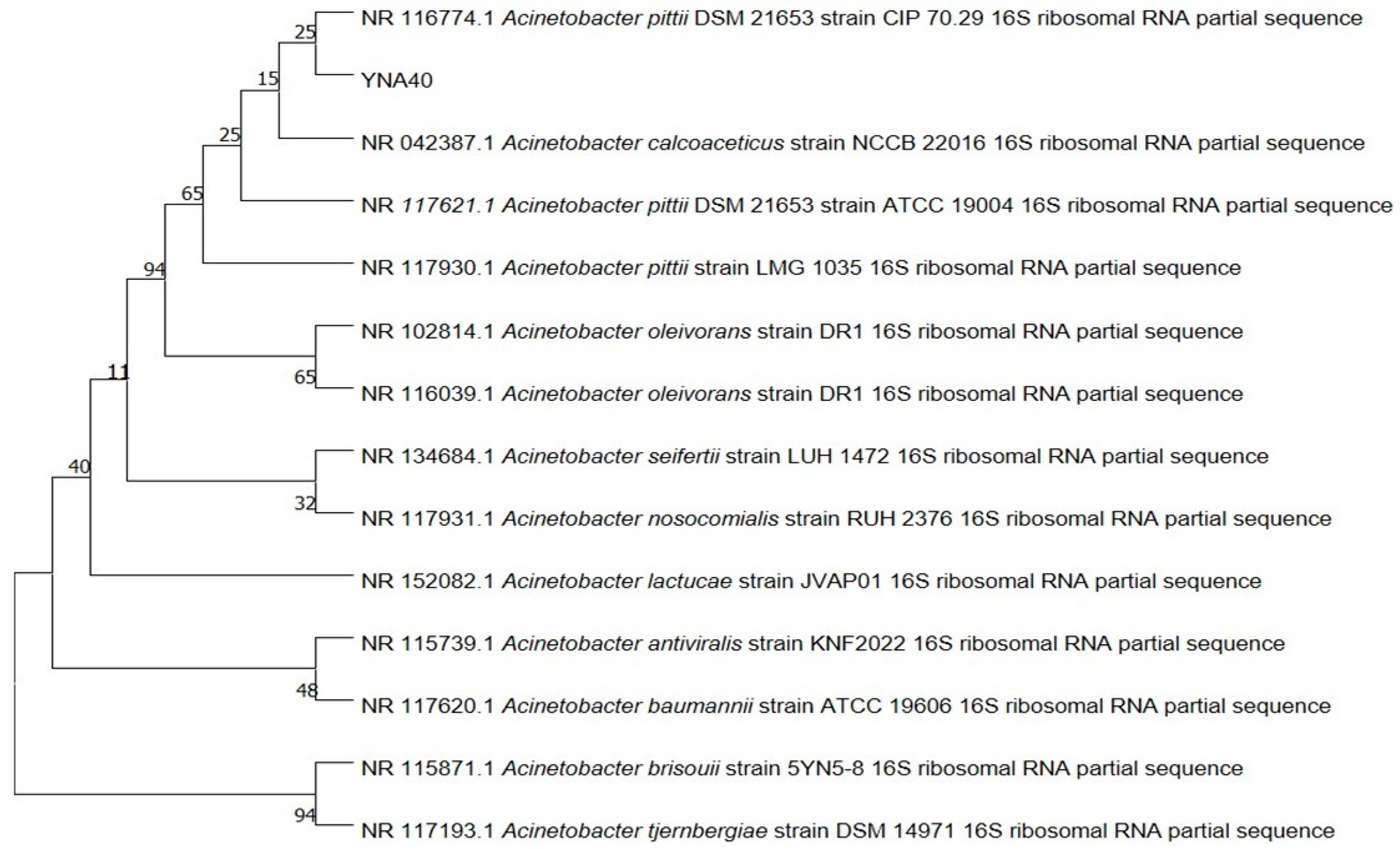 Agriculture 13 01021 g003