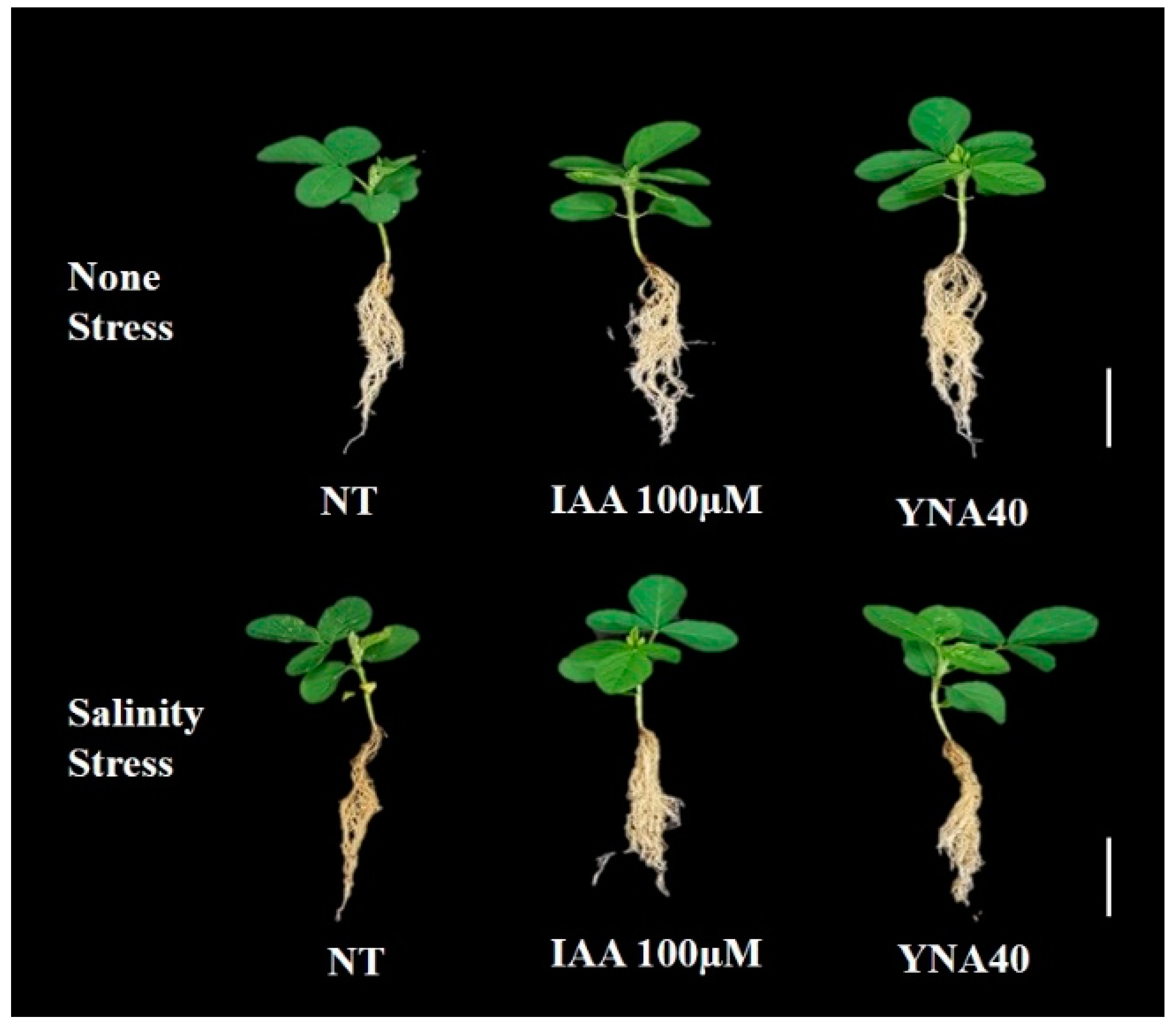 Agriculture 13 01021 g004