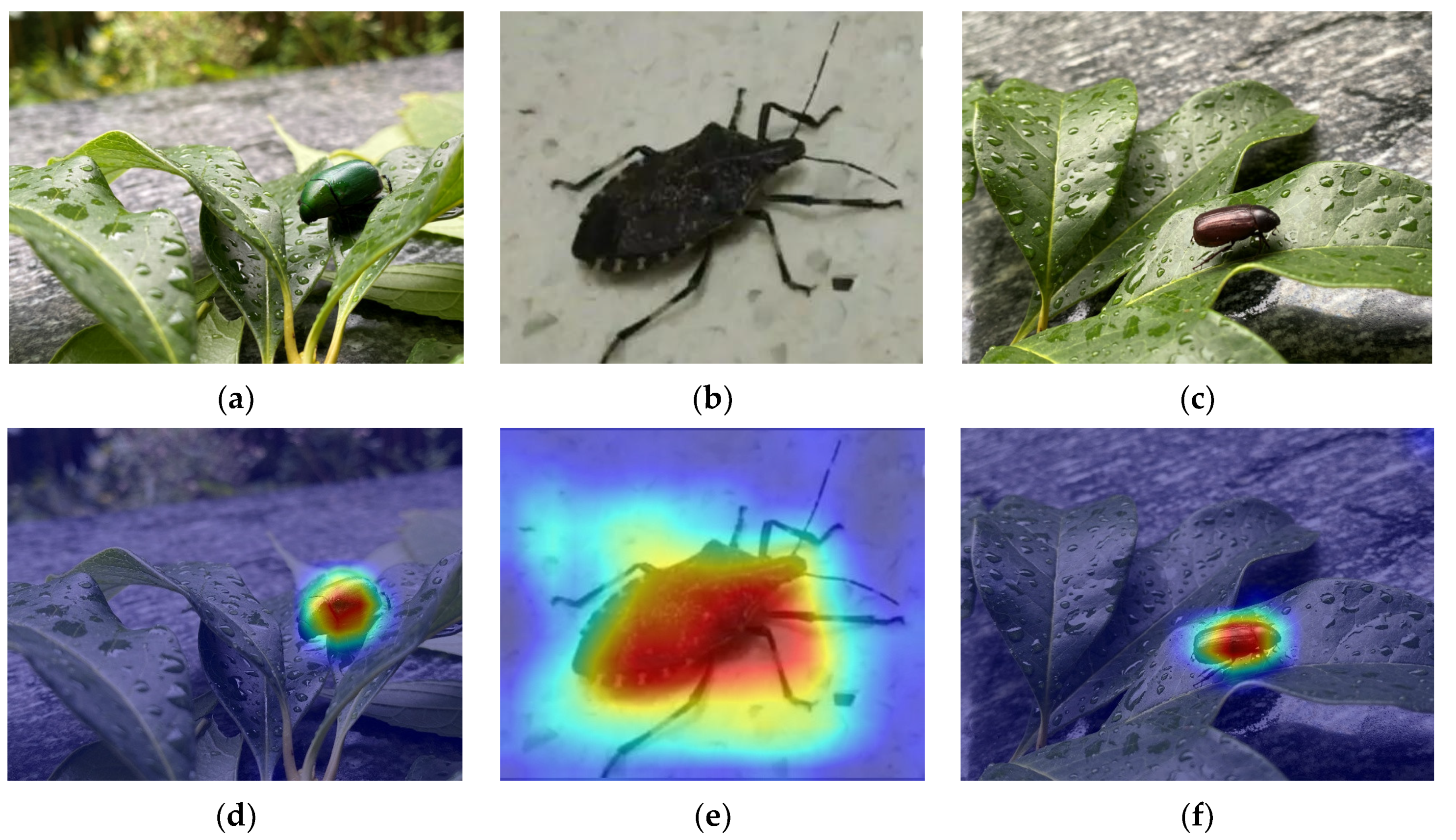 Agriculture 13 01031 g012 Agriculture 13 01031 g012