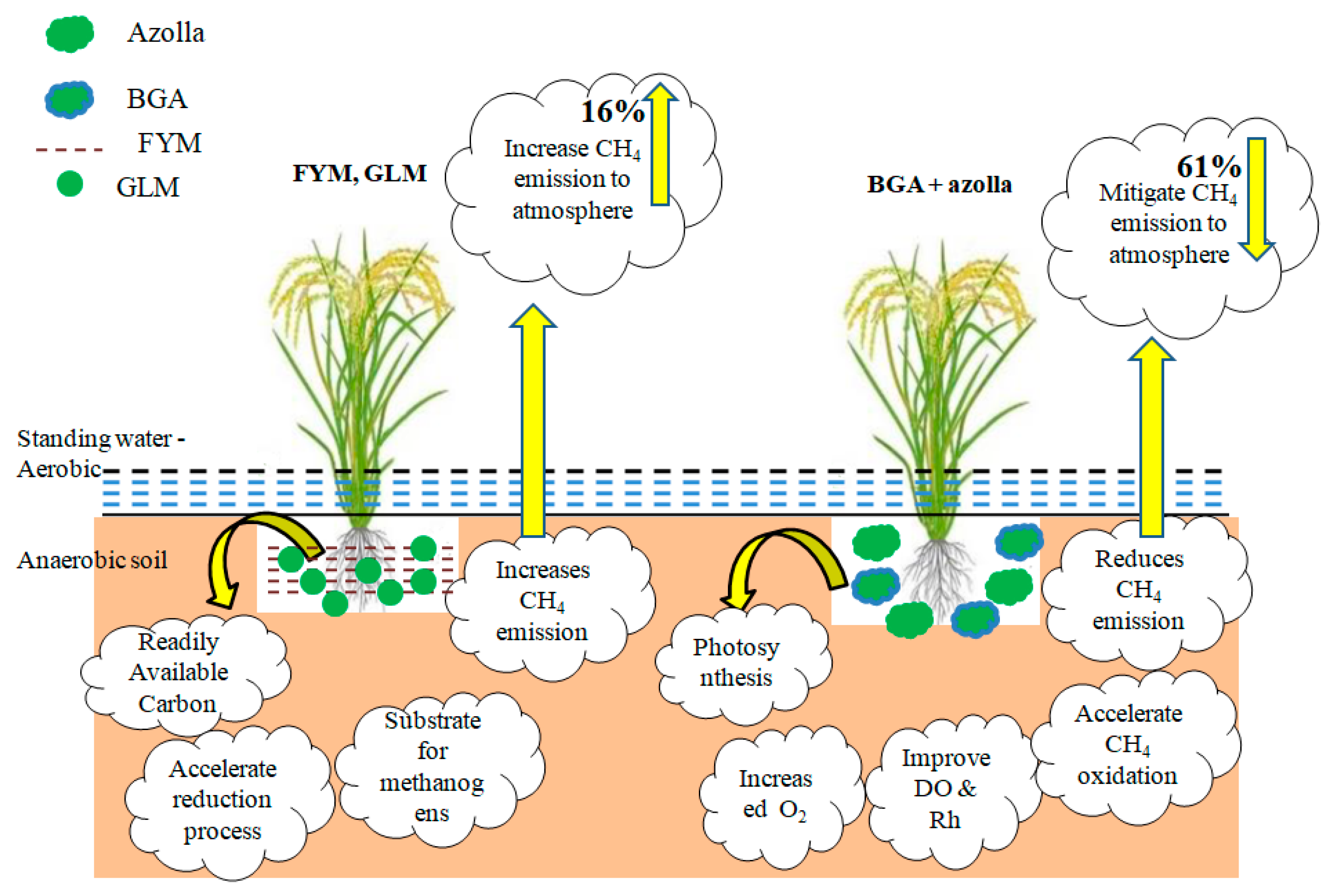 Agriculture 13 01037 g010 Agriculture 13 01037 g010