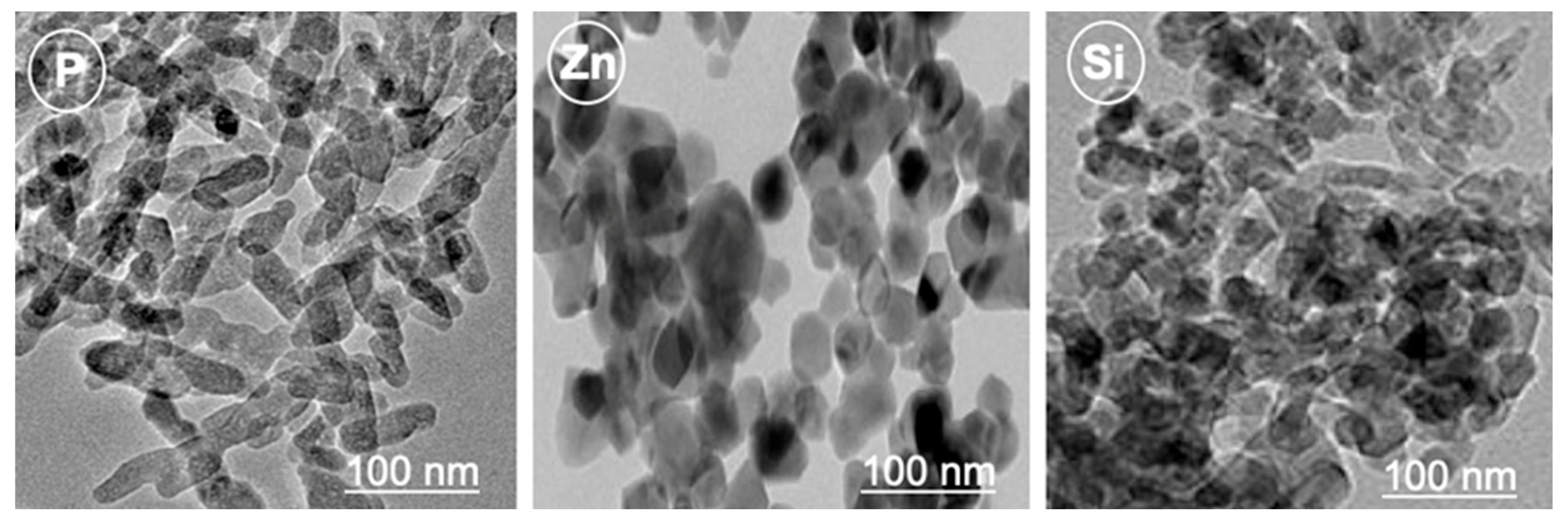 Agriculture 13 01061 g001