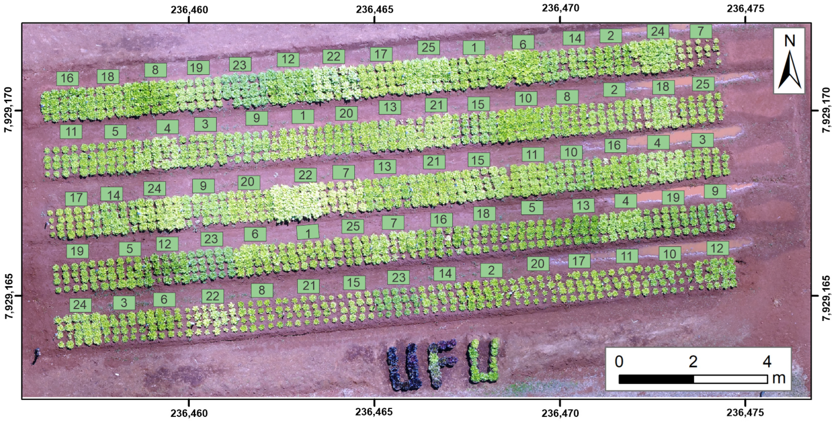 Agriculture 13 01091 g001