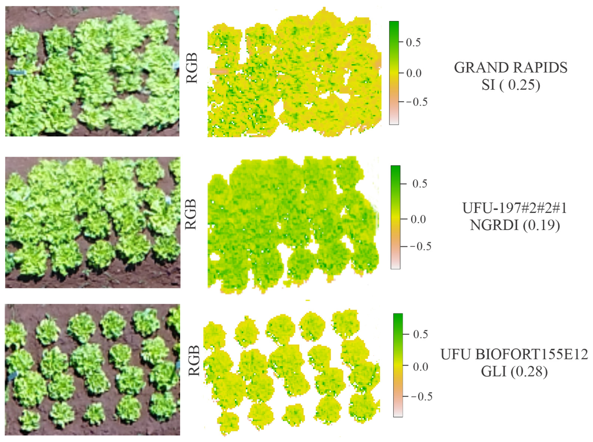 Agriculture 13 01091 g009