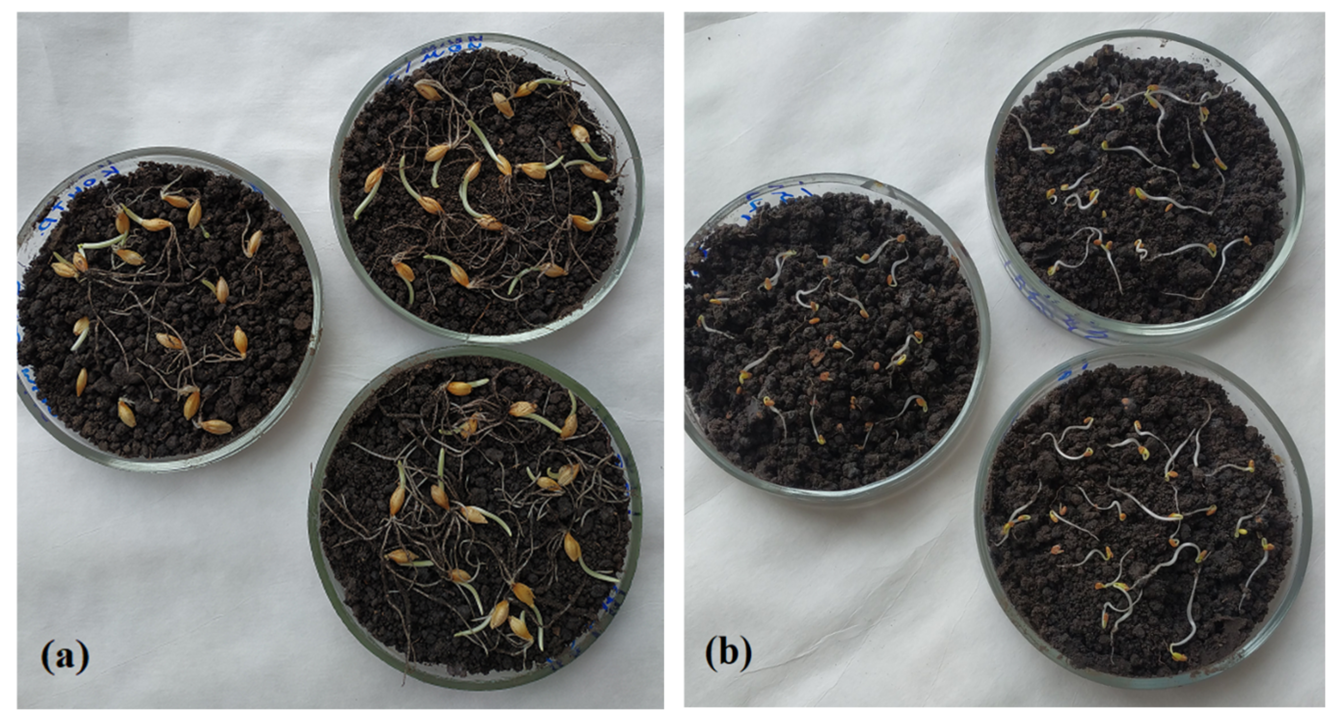 Agriculture 13 01111 g004