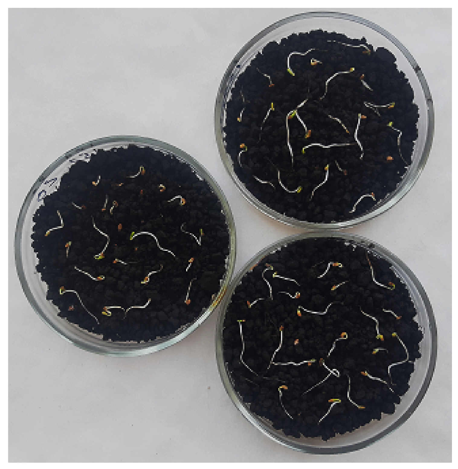 Agriculture 13 01111 g006