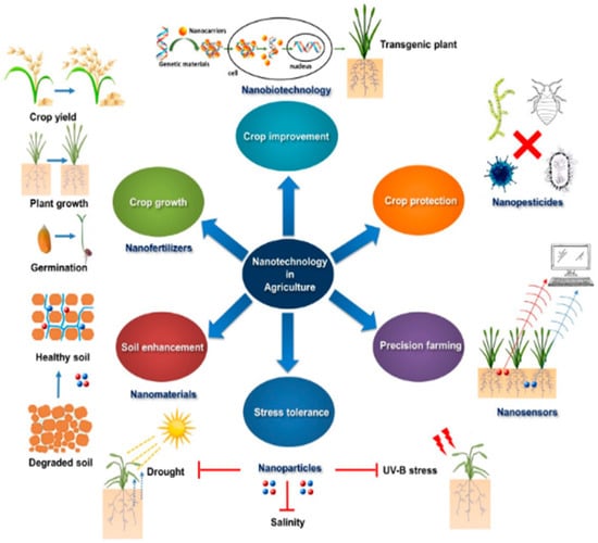 Agriculture 13 01144 g002