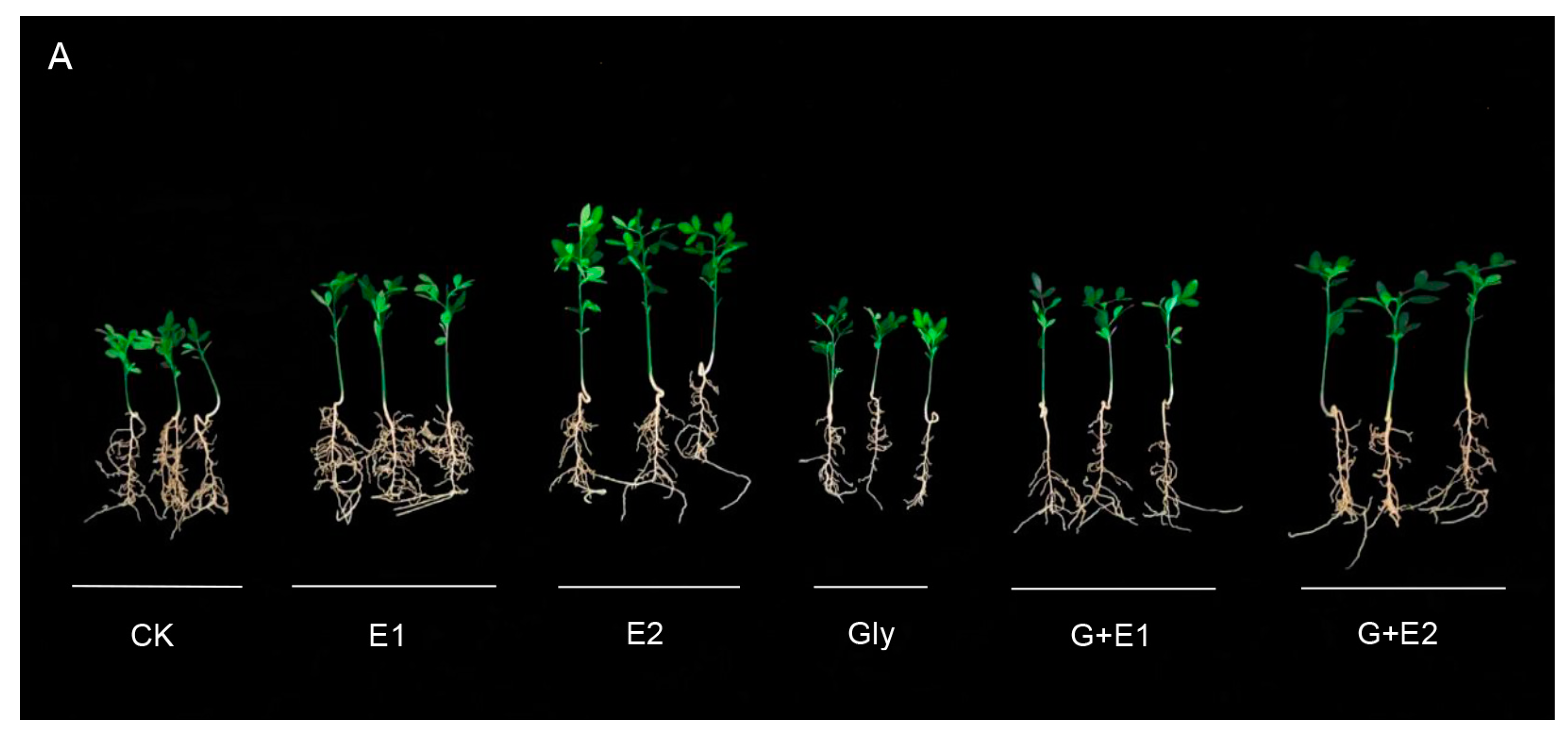Agriculture 13 01148 g001a
