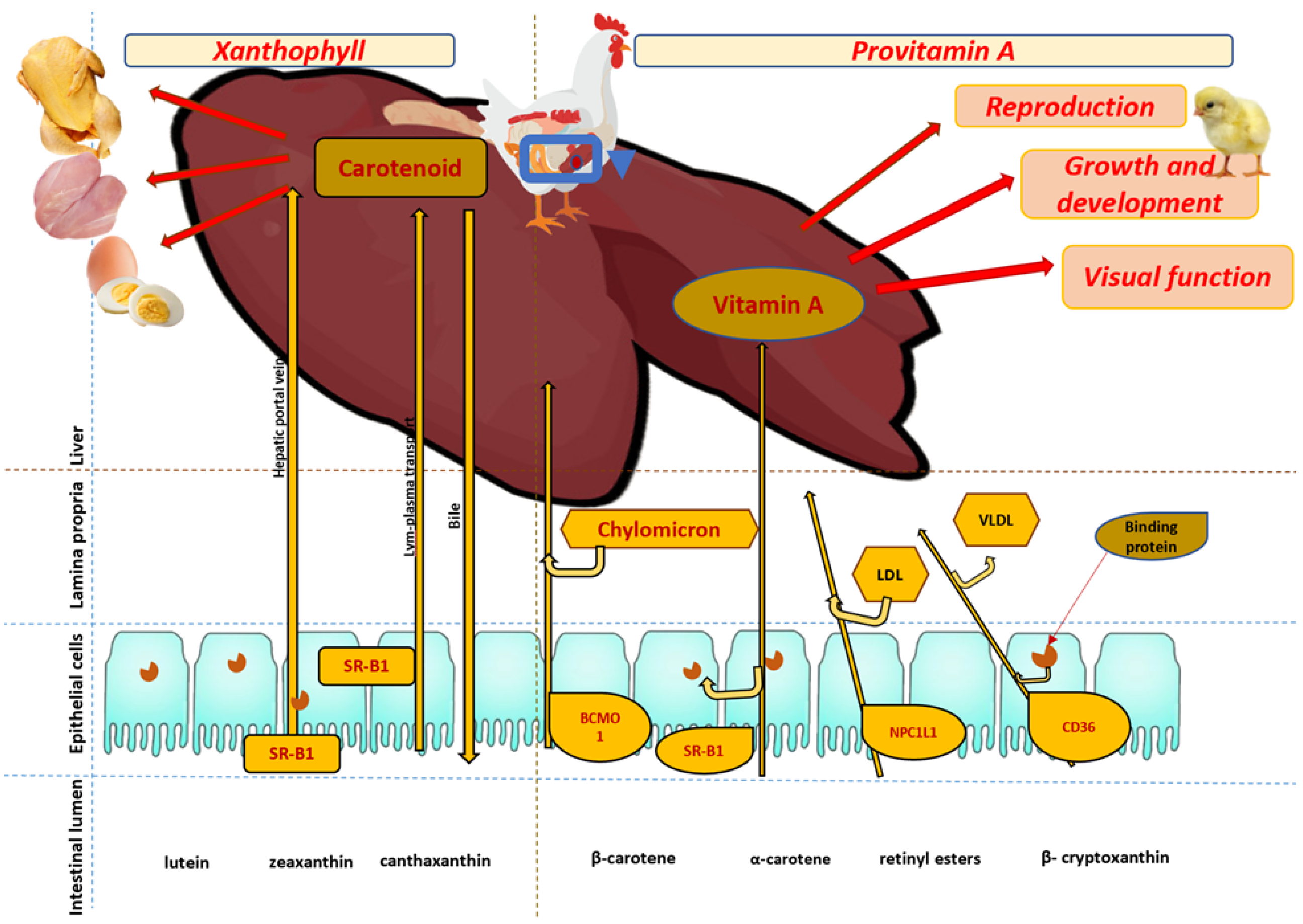 Agriculture 13 01159 g003