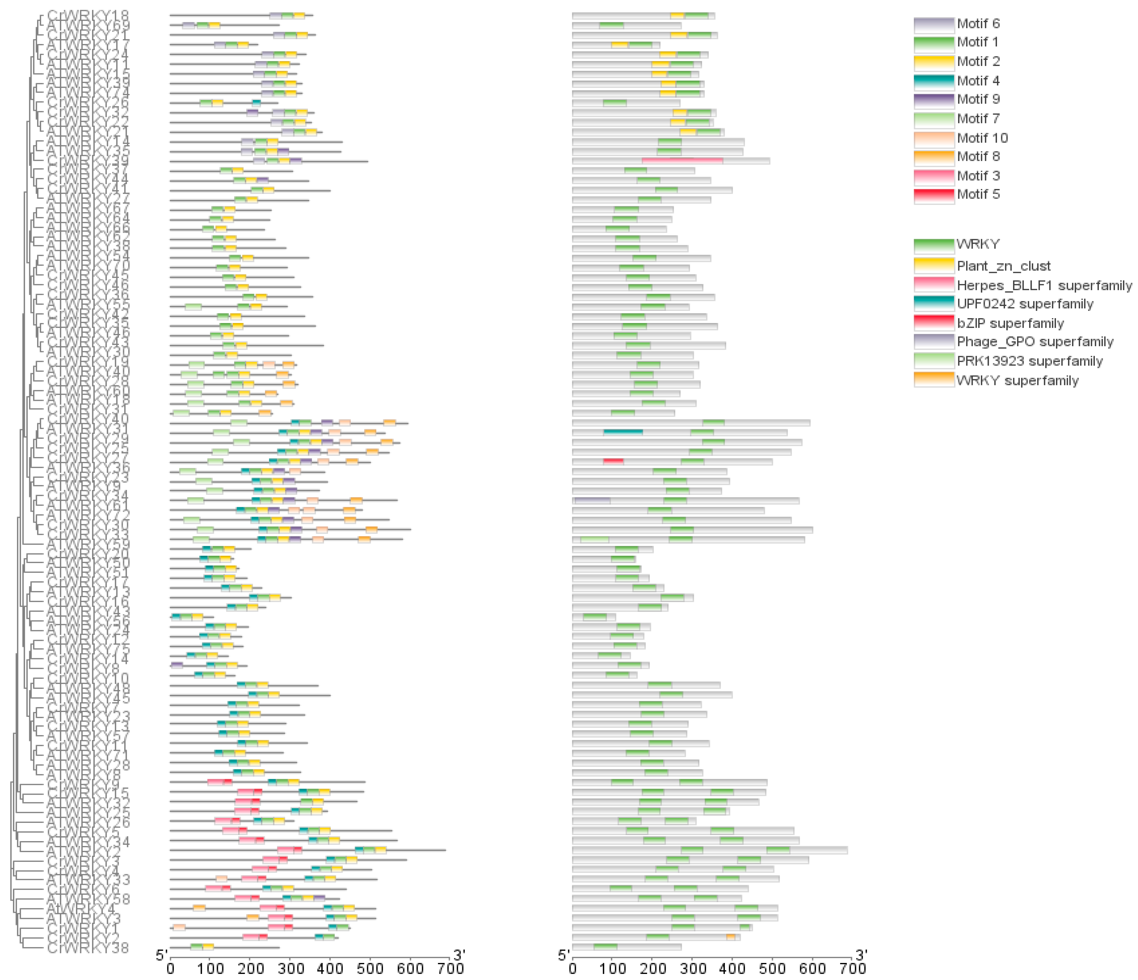 Agriculture 13 01182 g003