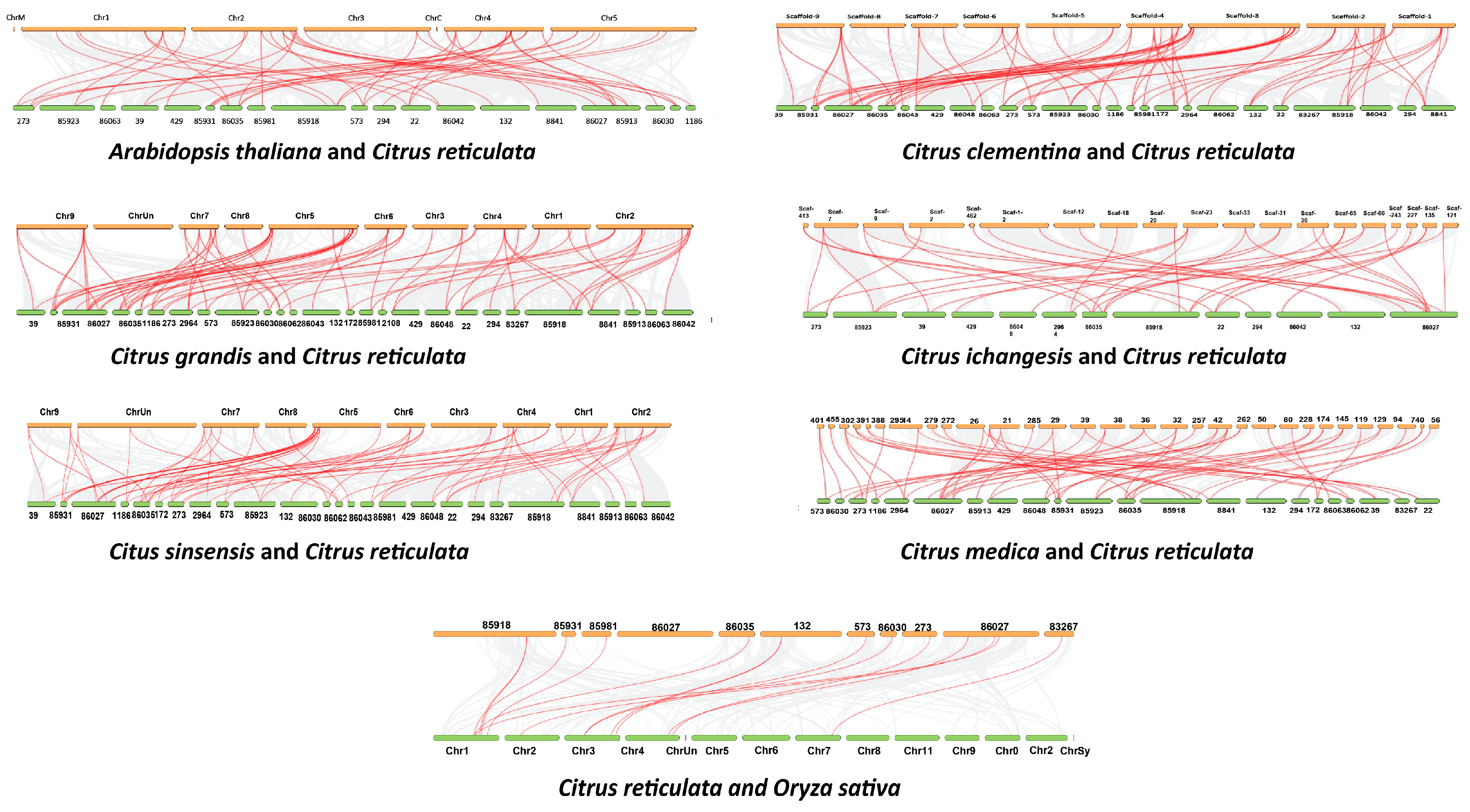Agriculture 13 01182 g004