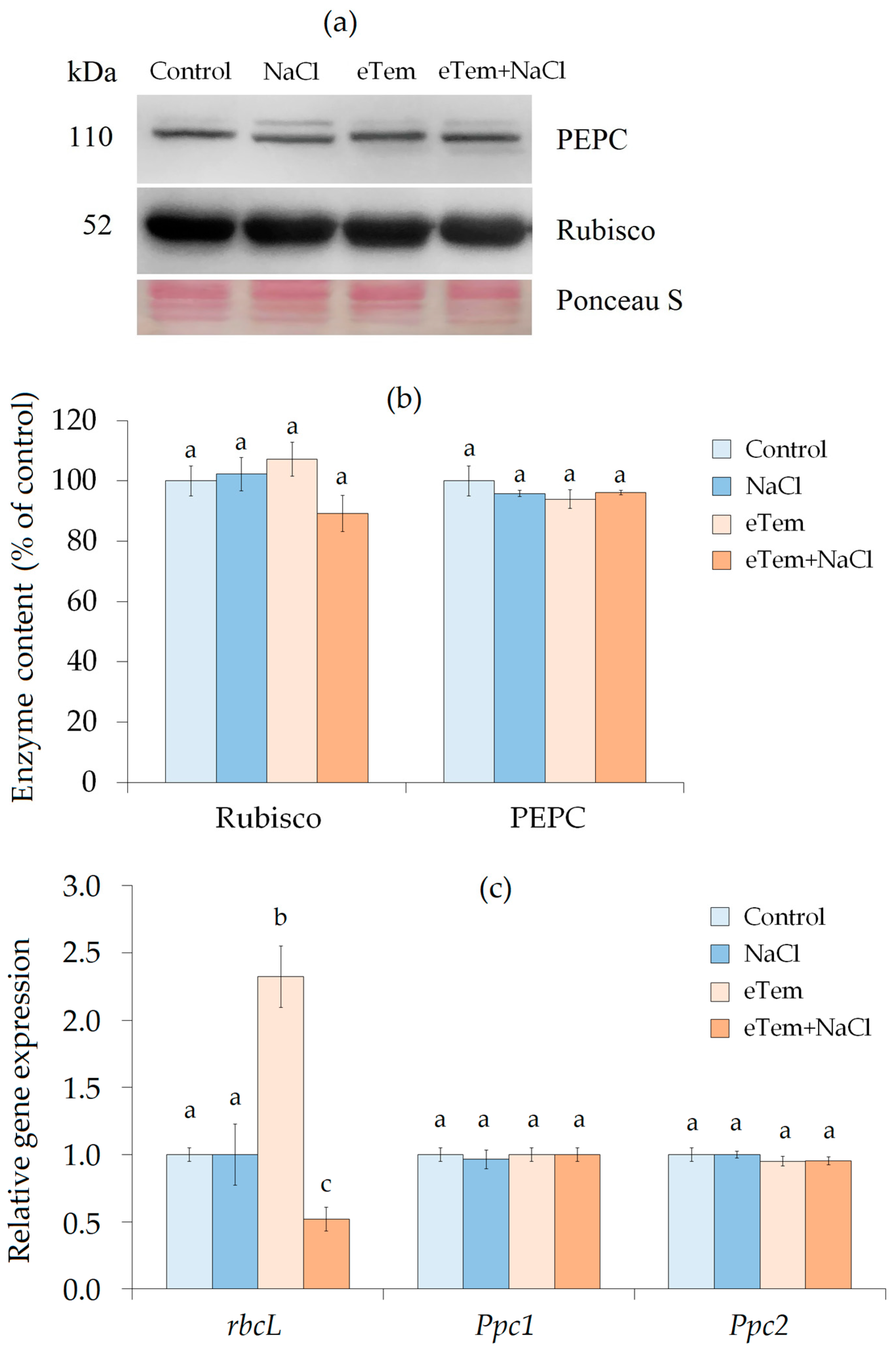 Agriculture 13 01198 g003