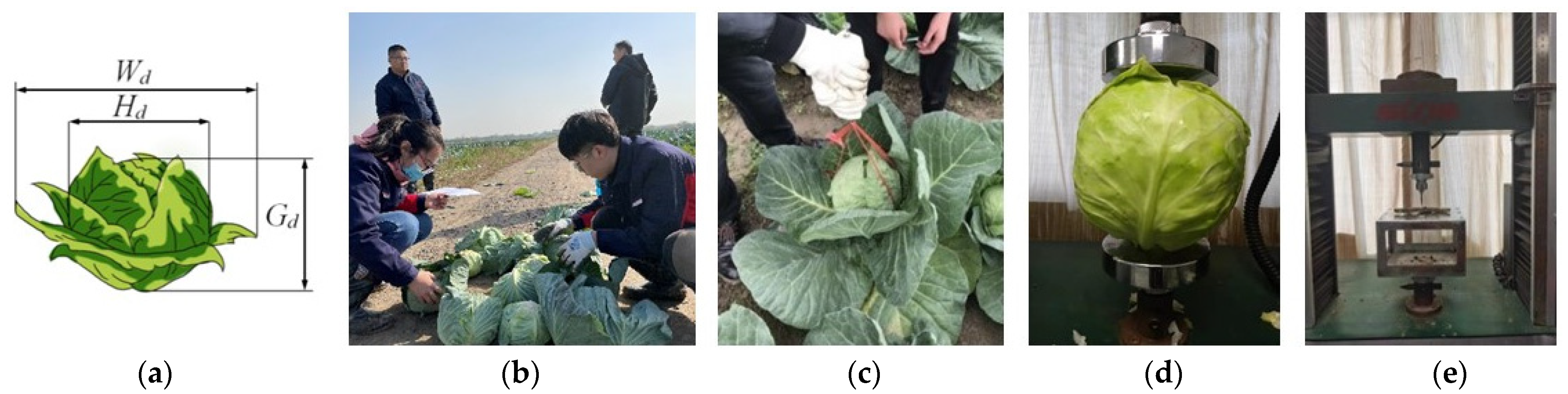 Agriculture 13 01204 g001