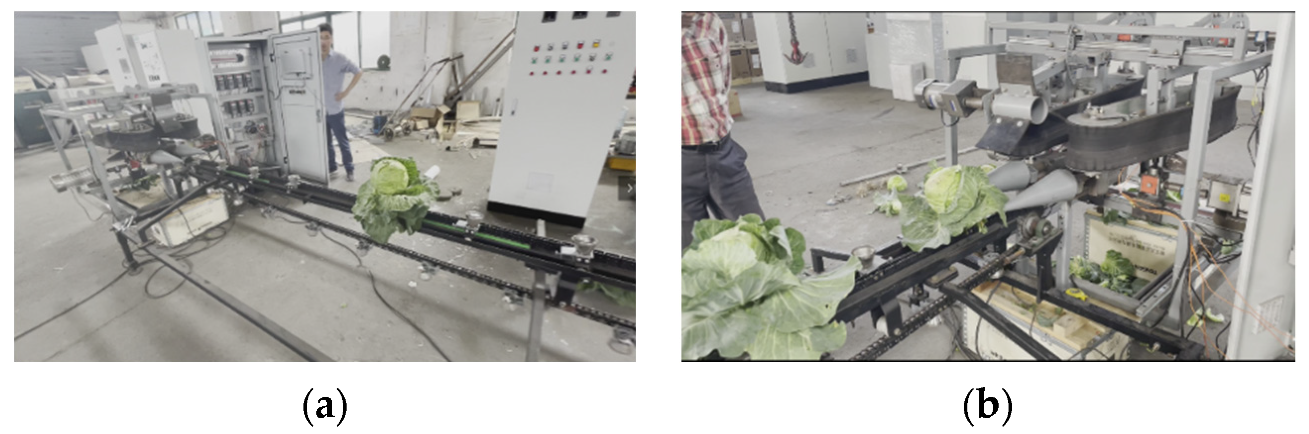 Agriculture 13 01204 g018