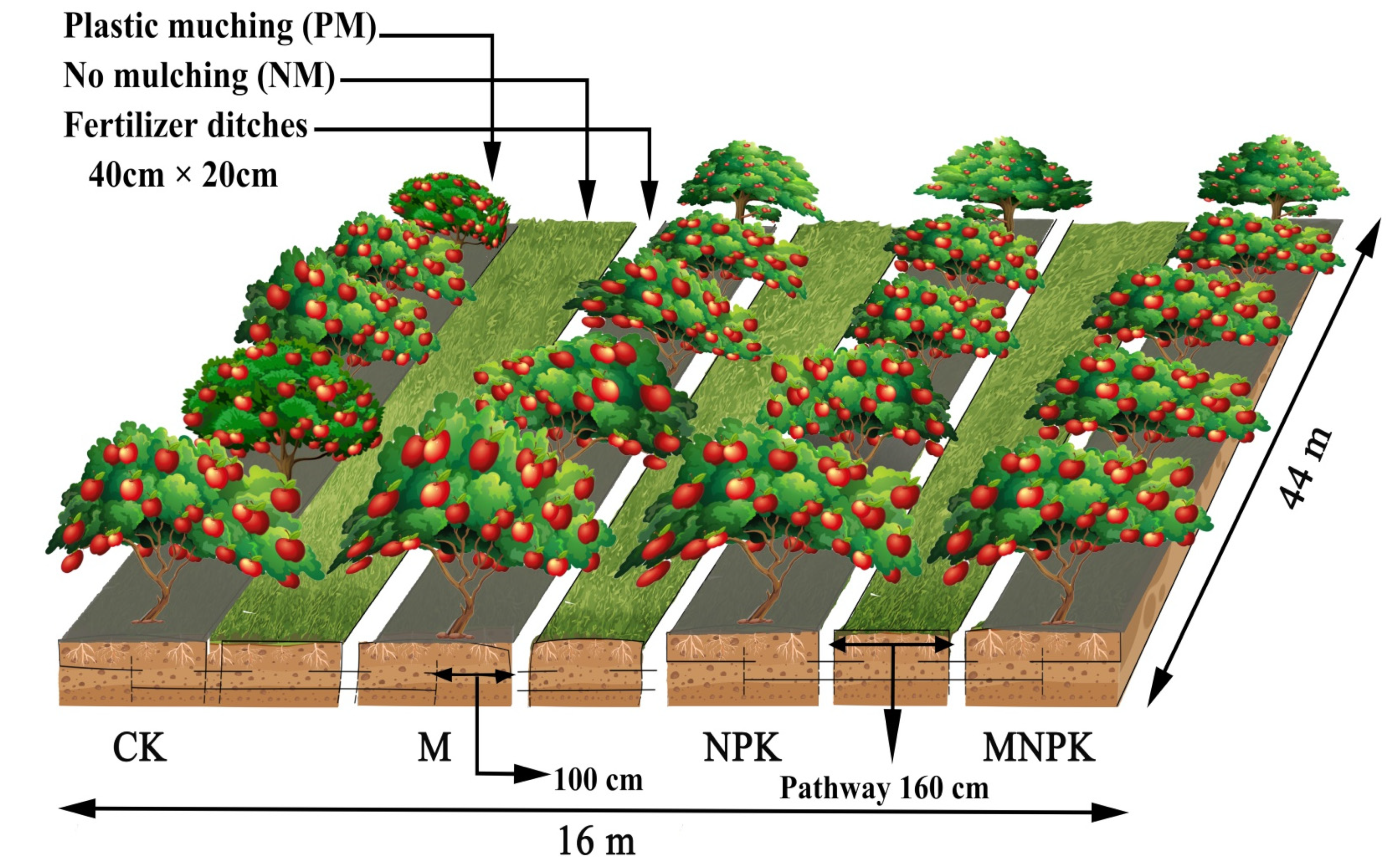 Agriculture 13 01211 g003