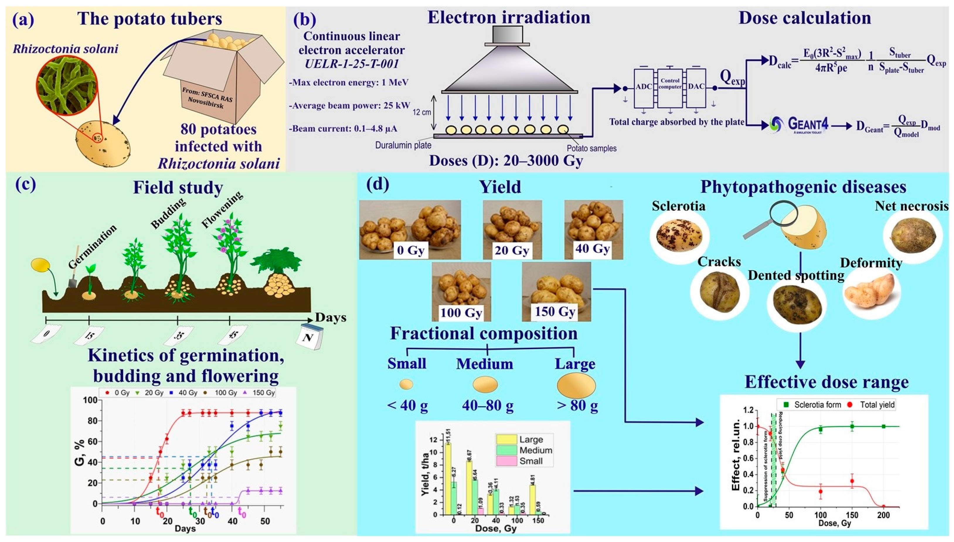 Agriculture 13 01221 g001