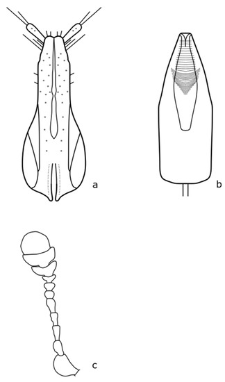 Agriculture 13 01243 g0a12