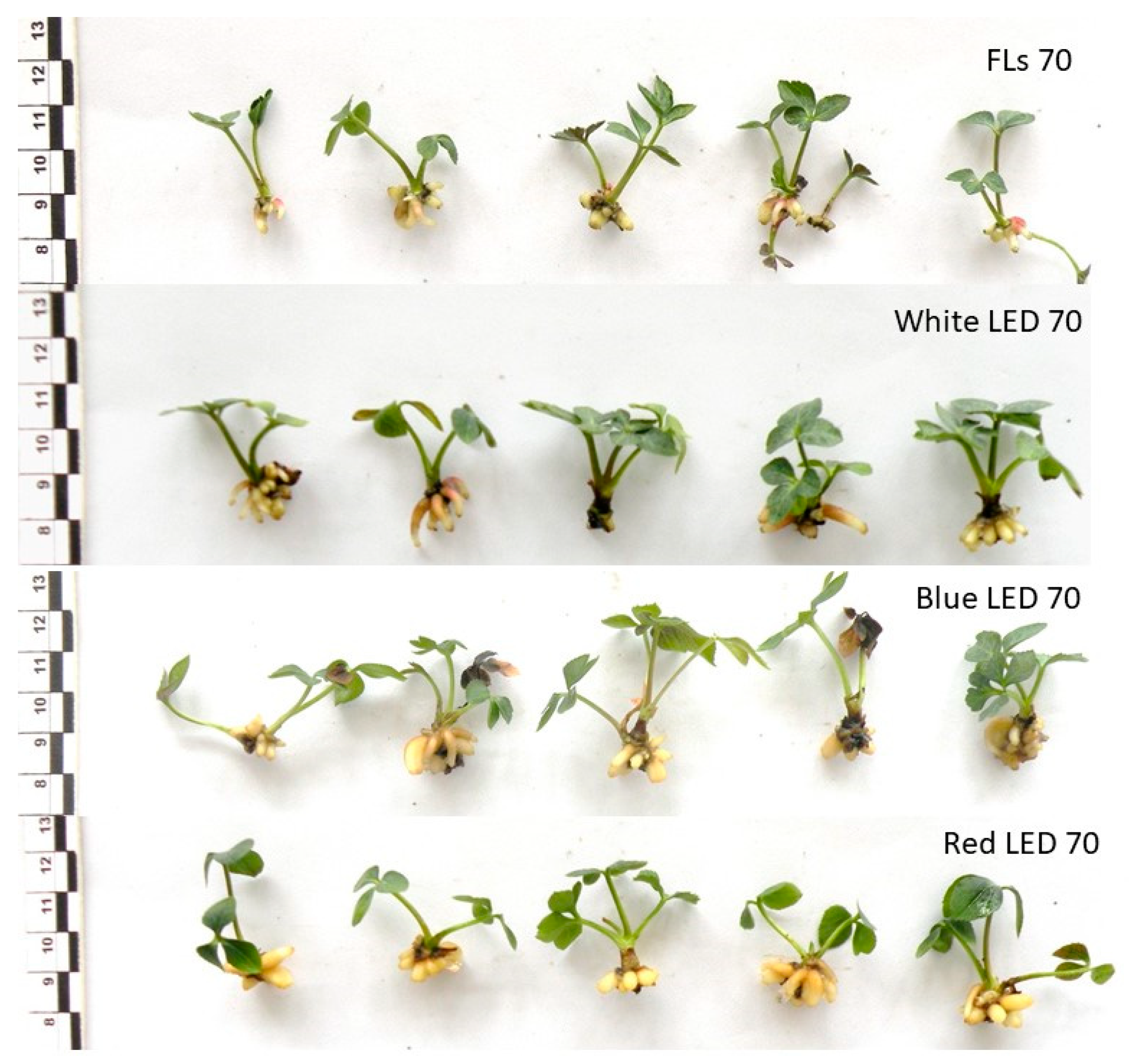 Agriculture 13 01265 g002 Agriculture 13 01265 g002