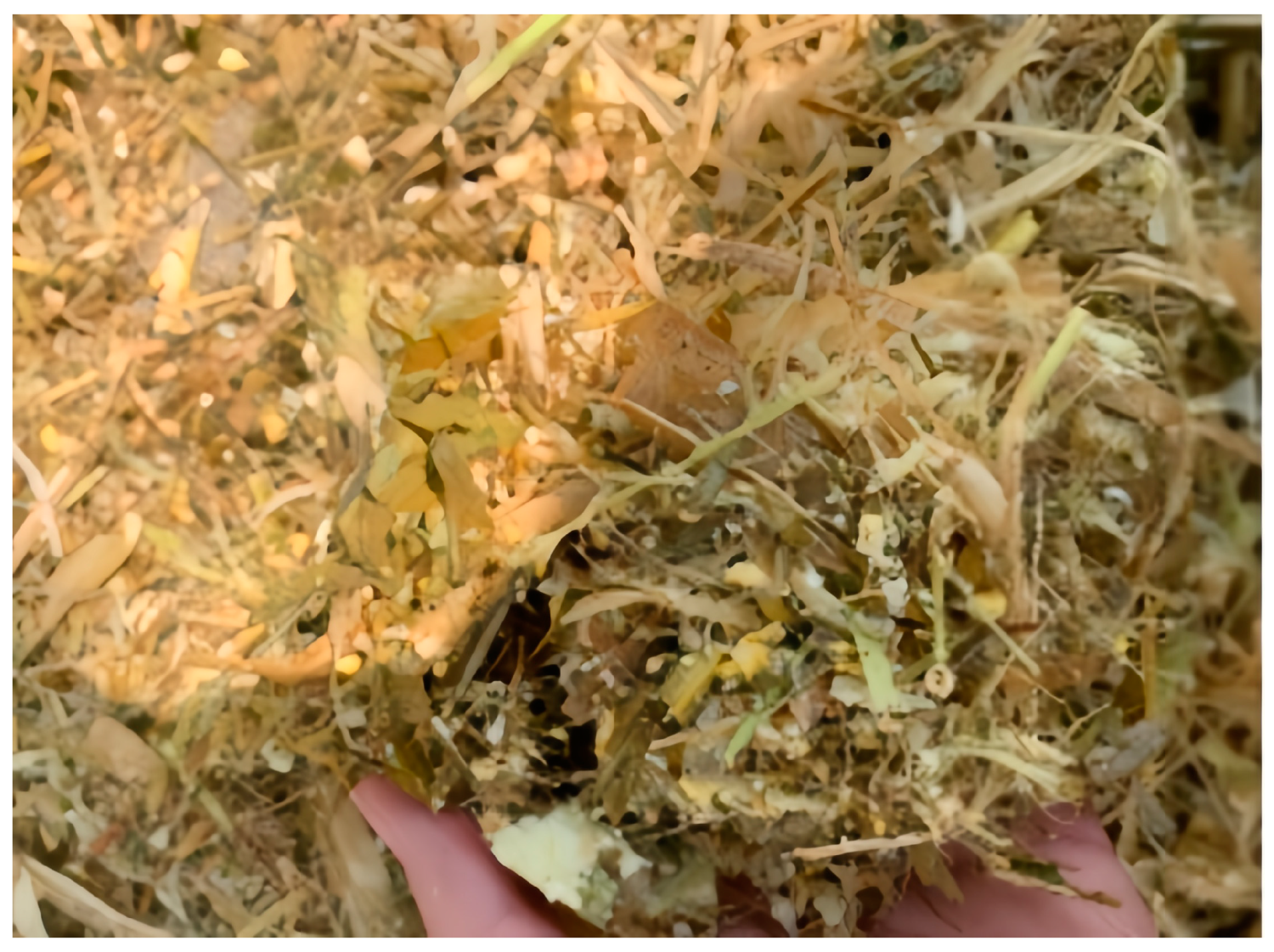 Agriculture 13 01276 g016