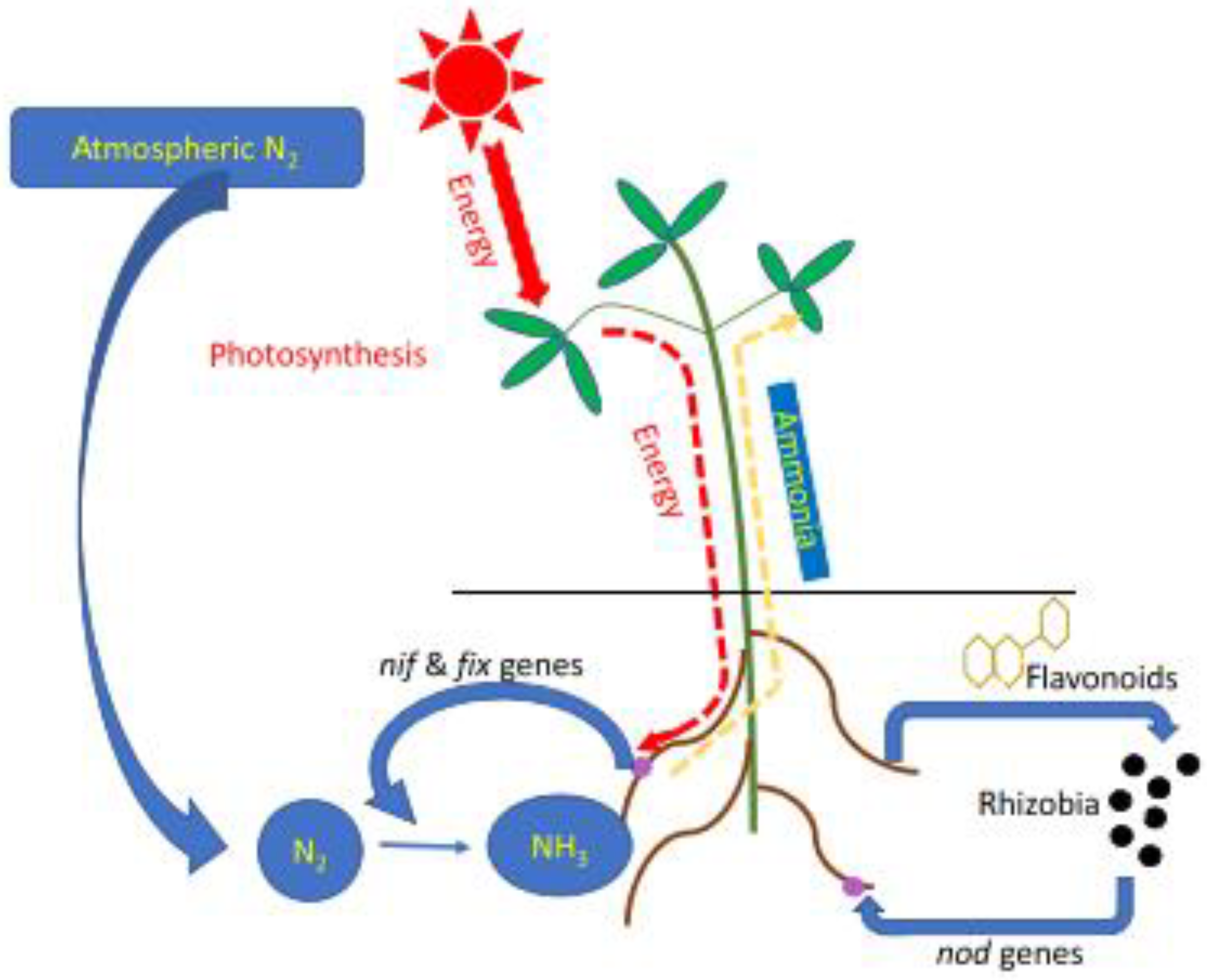Agriculture 13 01279 g001