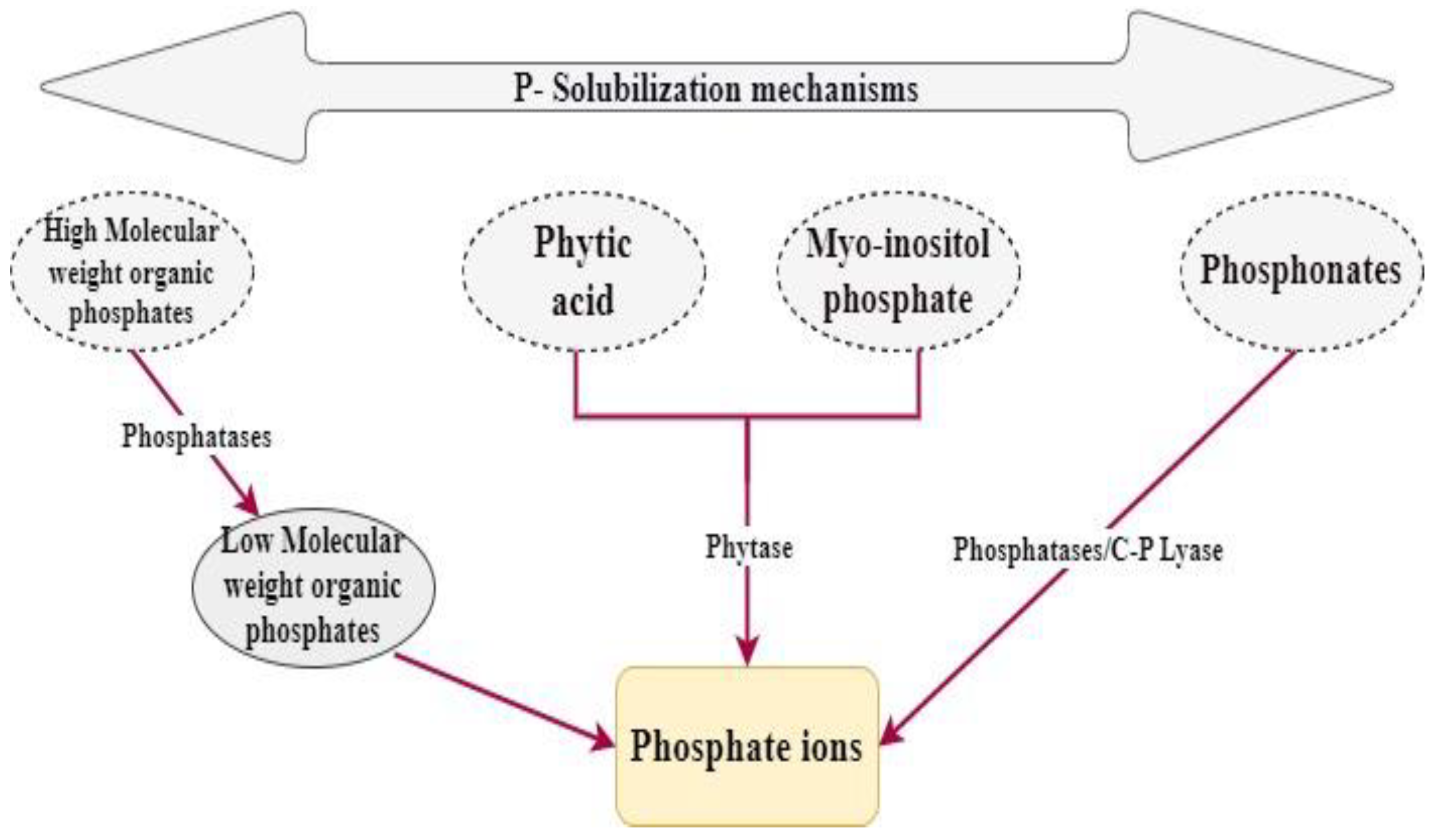 Agriculture 13 01279 g002