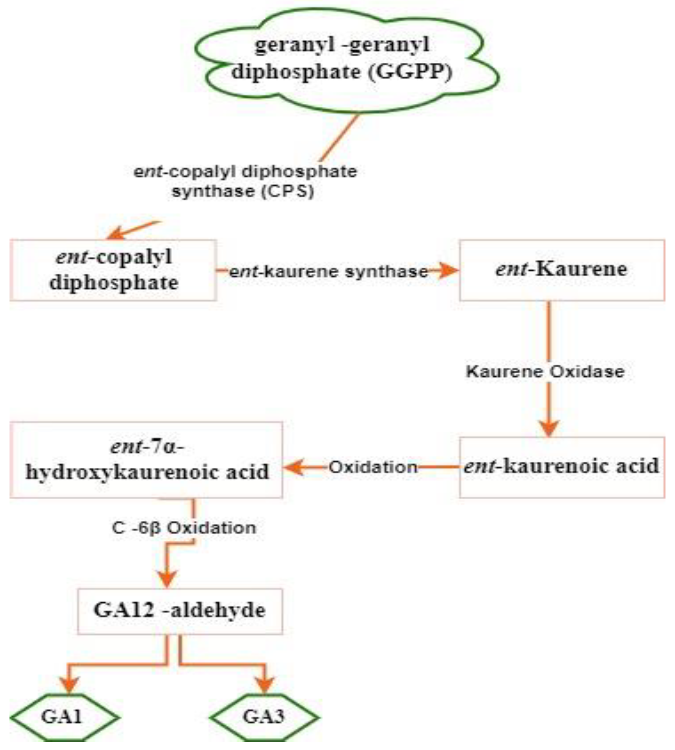 Agriculture 13 01279 g003