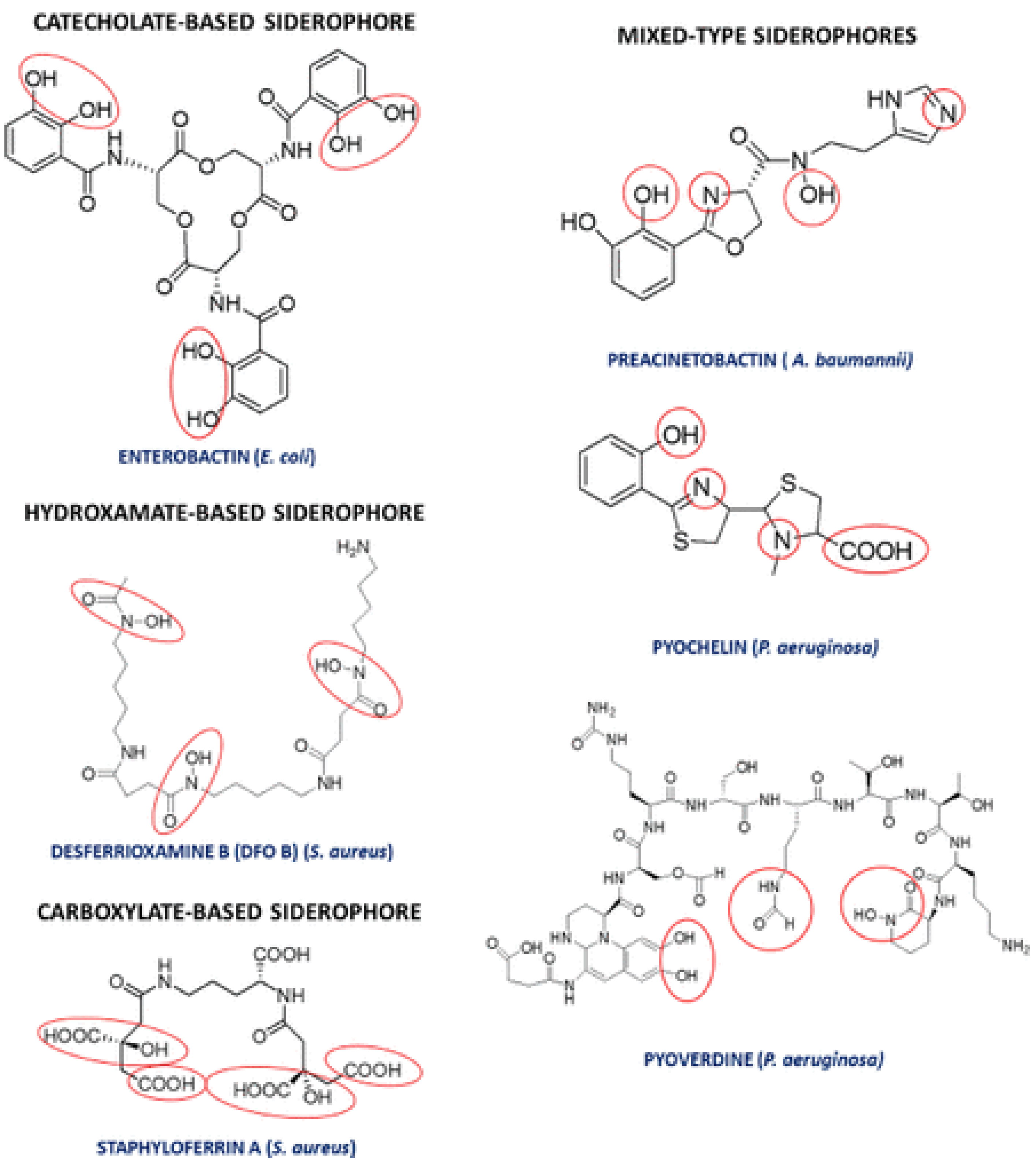 Agriculture 13 01279 g004