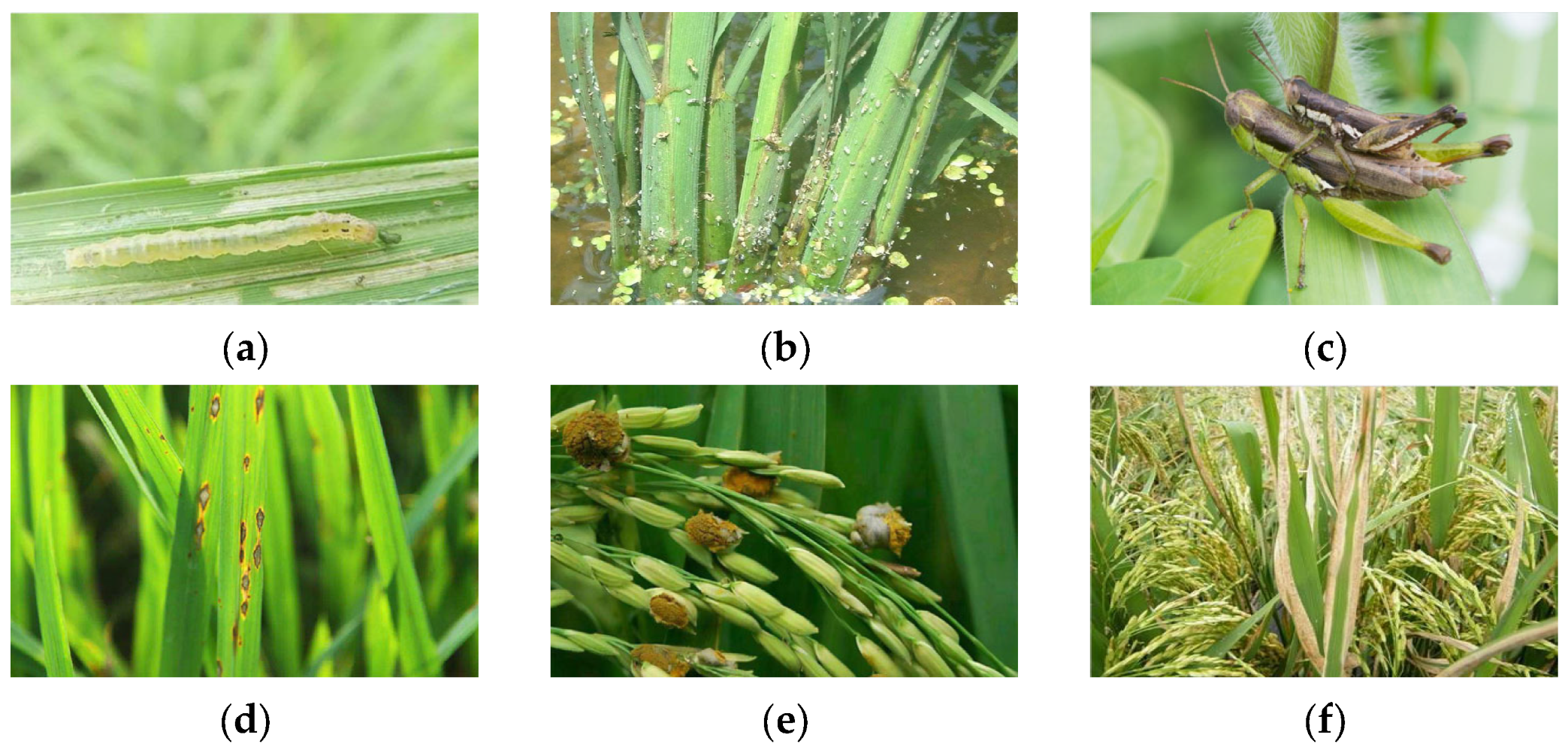 Agriculture 13 01285 g001