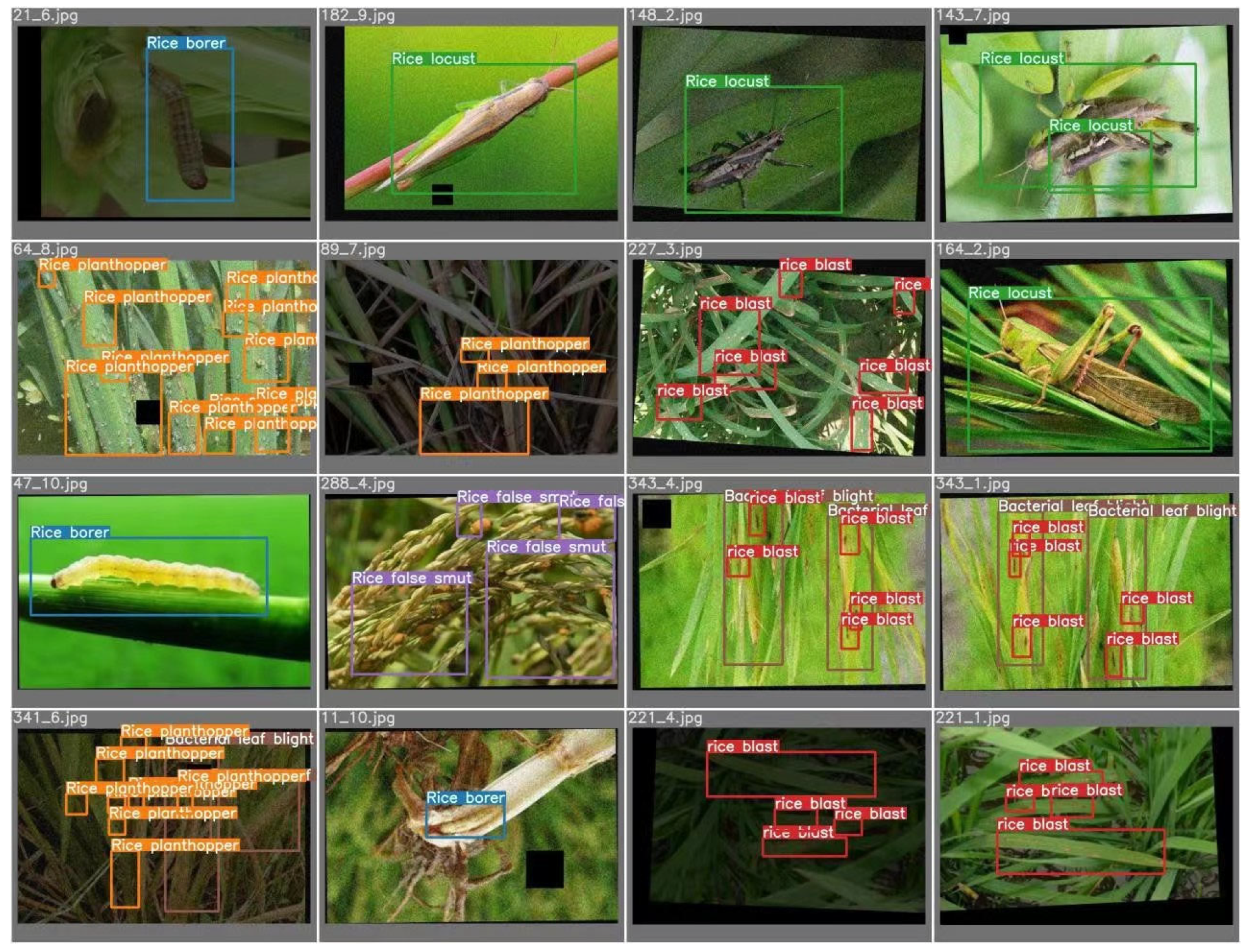 Agriculture 13 01285 g011