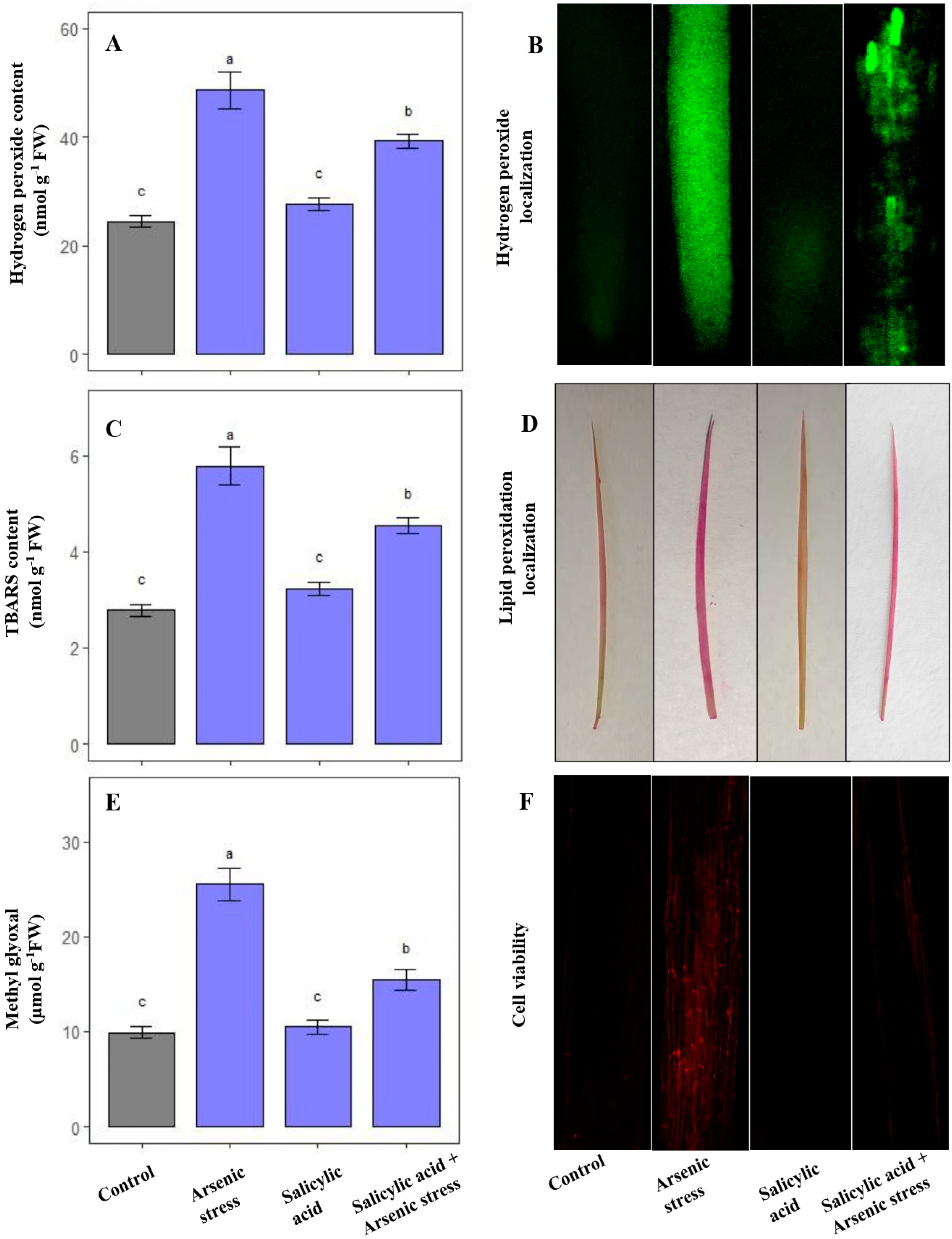 Agriculture 13 01293 g001