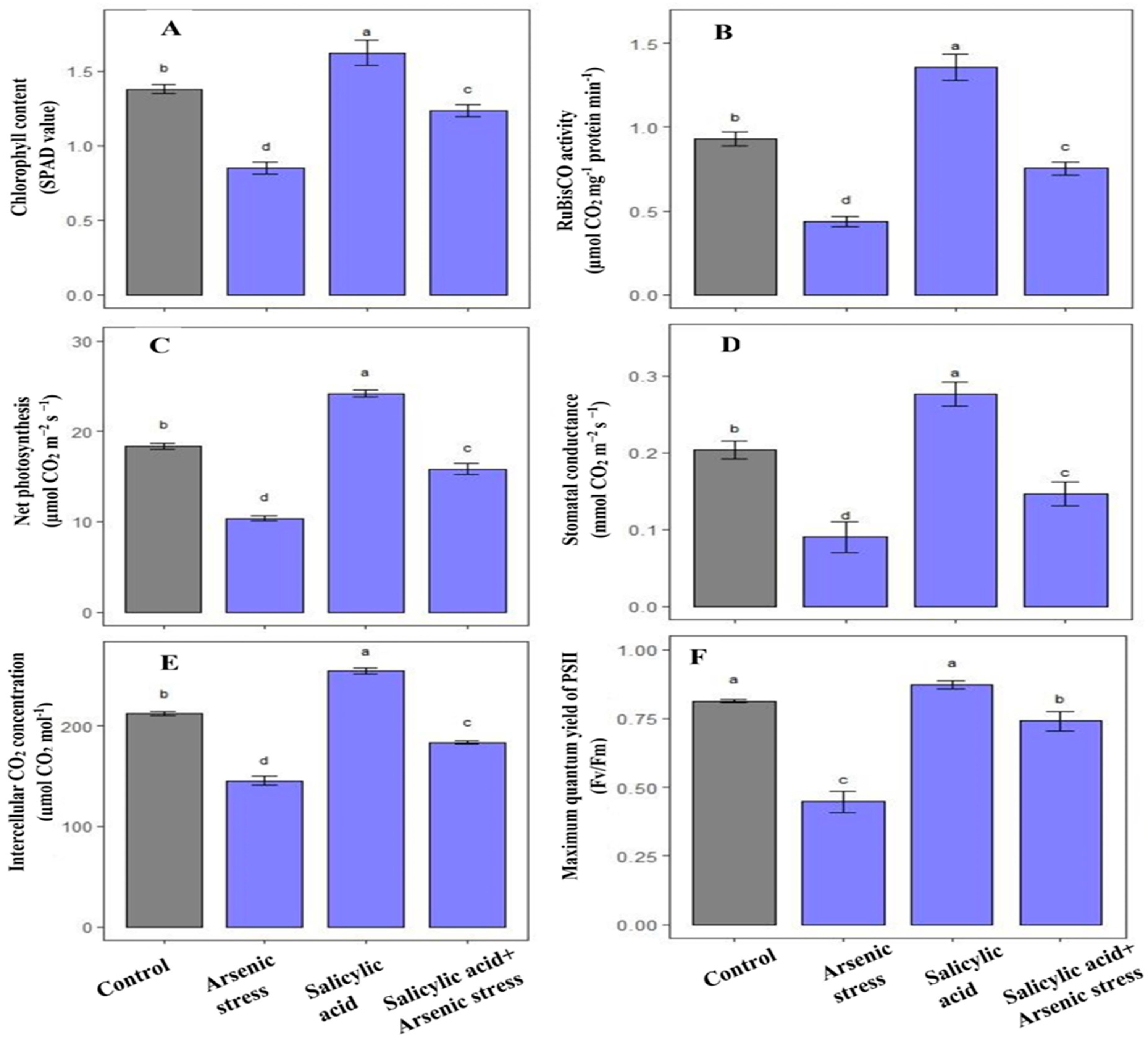 Agriculture 13 01293 g006