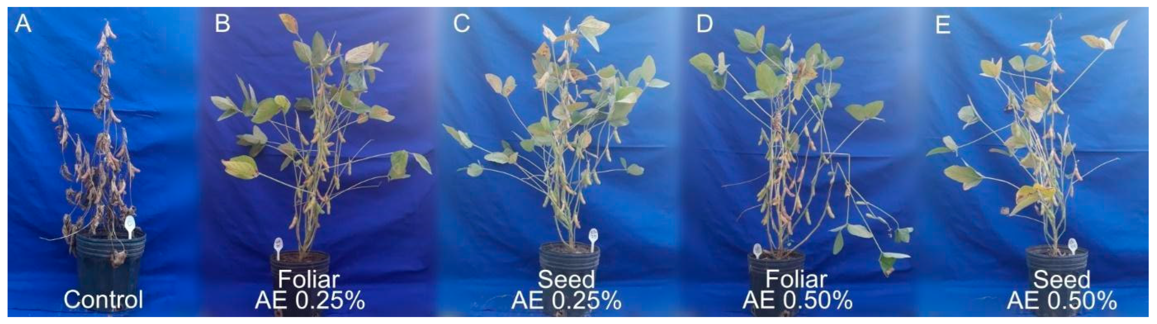 Agriculture 13 01296 g001