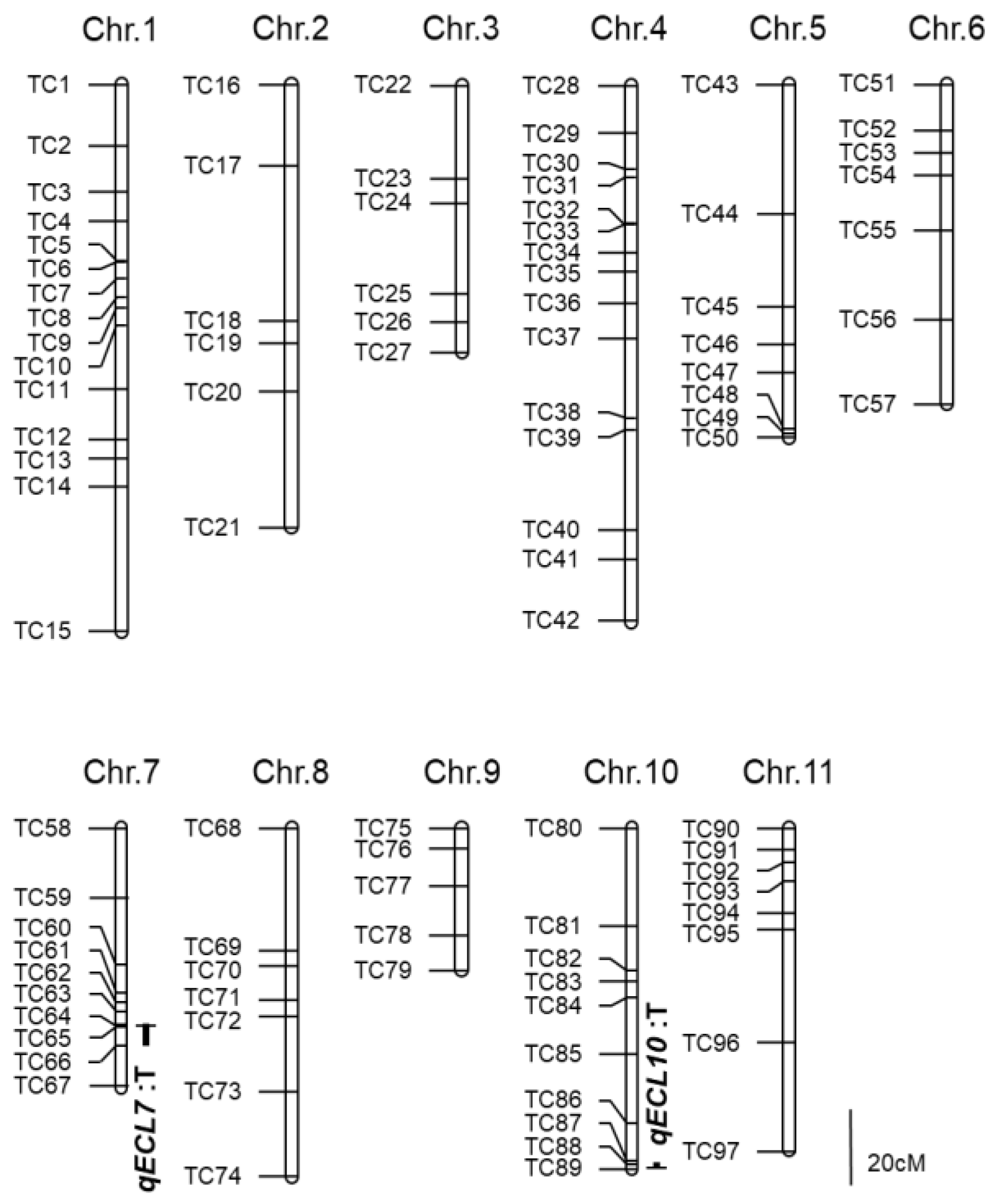 Agriculture 13 01305 g004 Agriculture 13 01305 g004