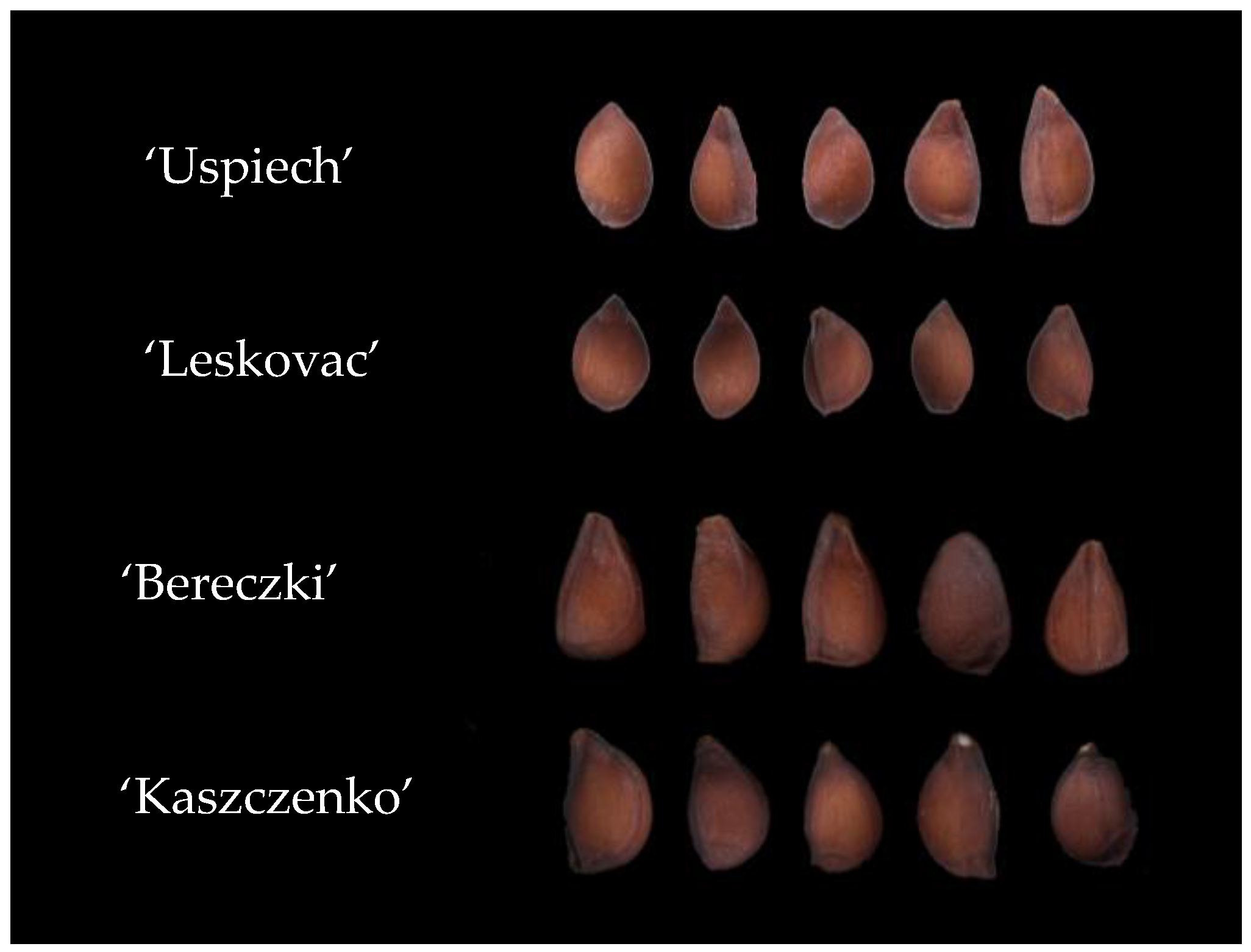 Agriculture 13 01310 g001