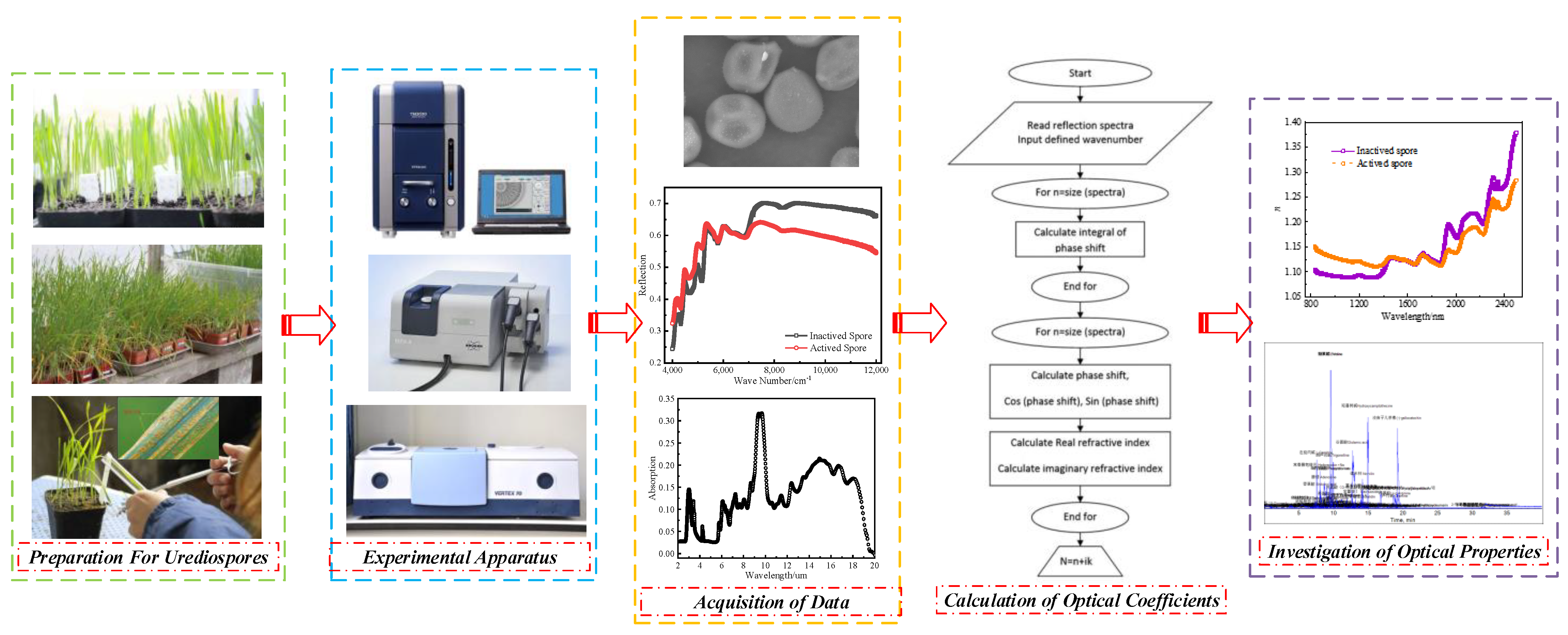 Agriculture 13 01316 g001