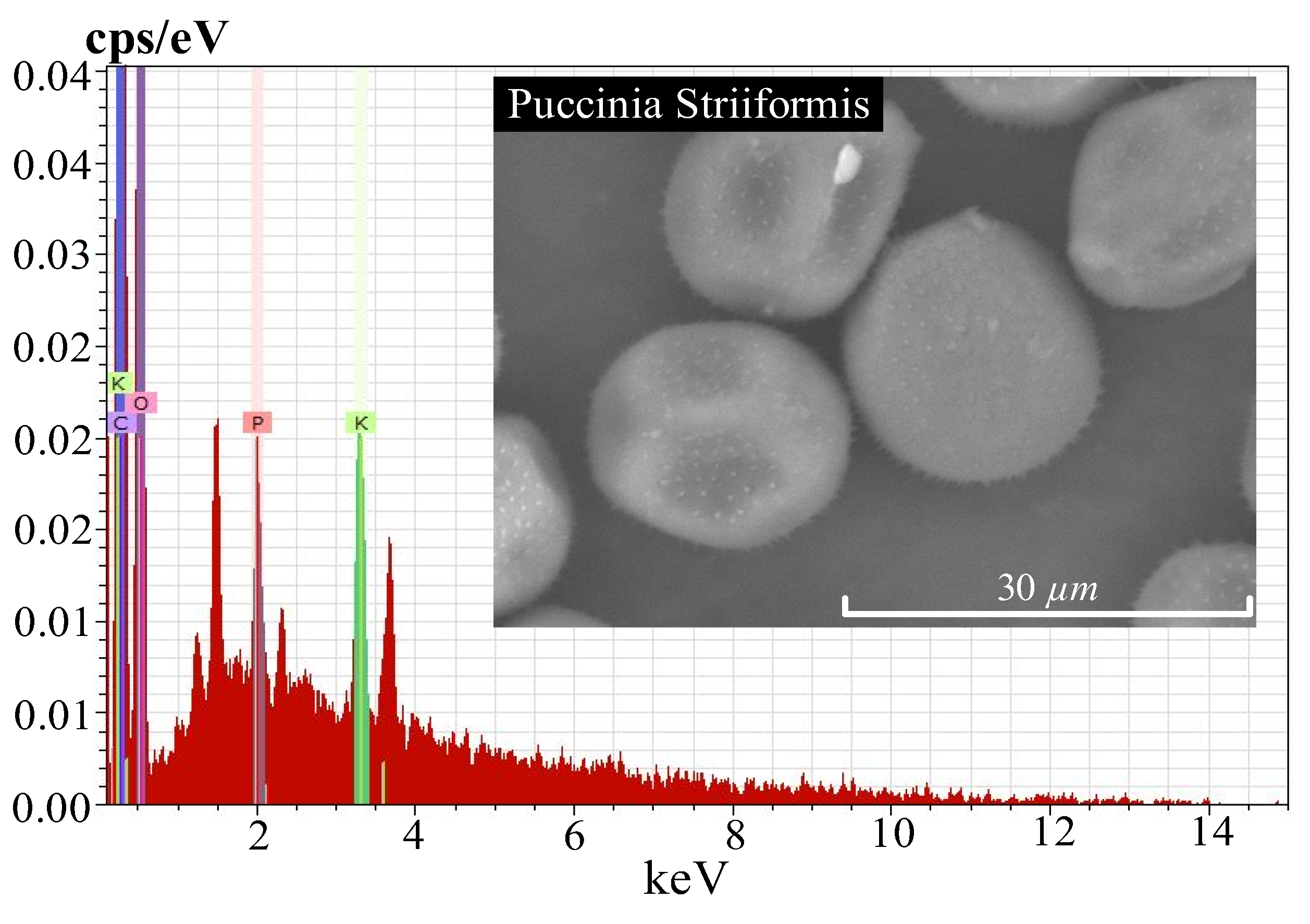 Agriculture 13 01316 g002