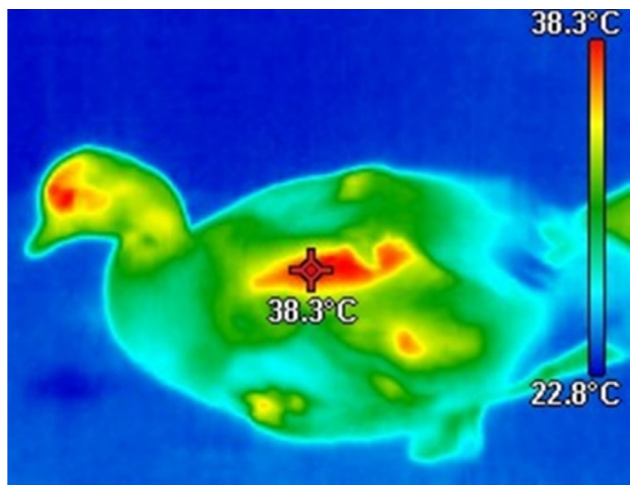 Agriculture 13 01319 g001