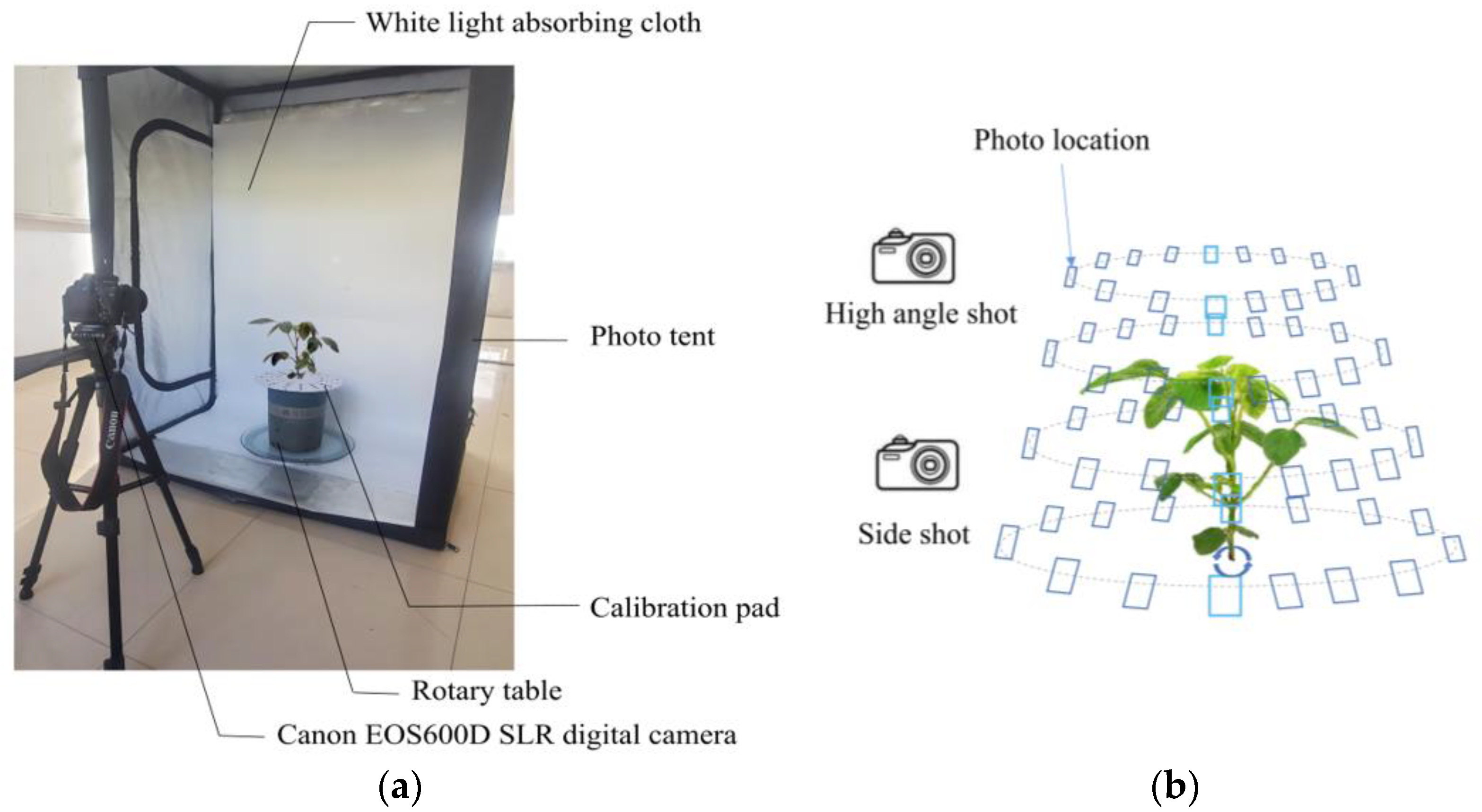 Agriculture 13 01321 g002 Agriculture 13 01321 g002