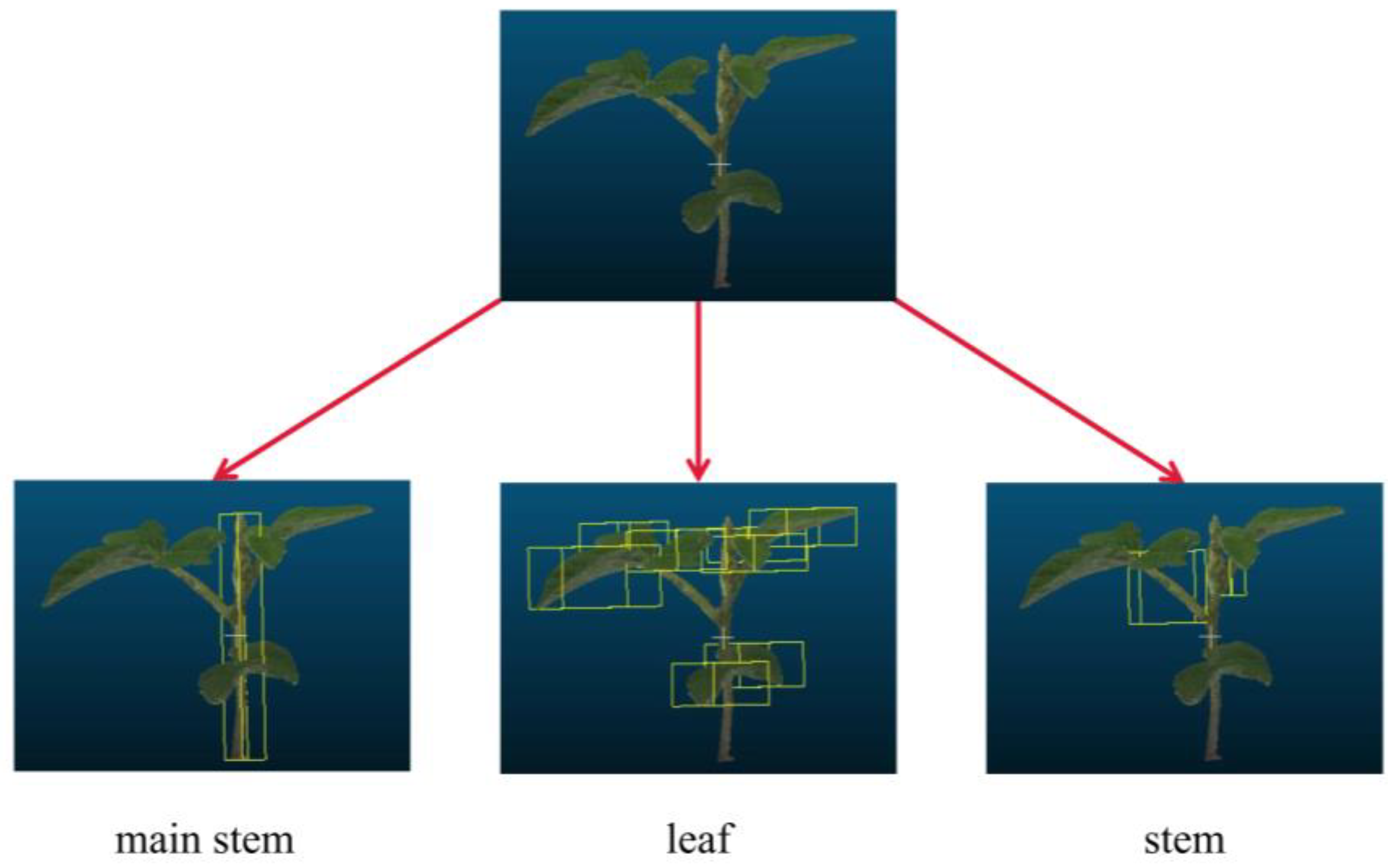 Agriculture 13 01321 g003 Agriculture 13 01321 g003