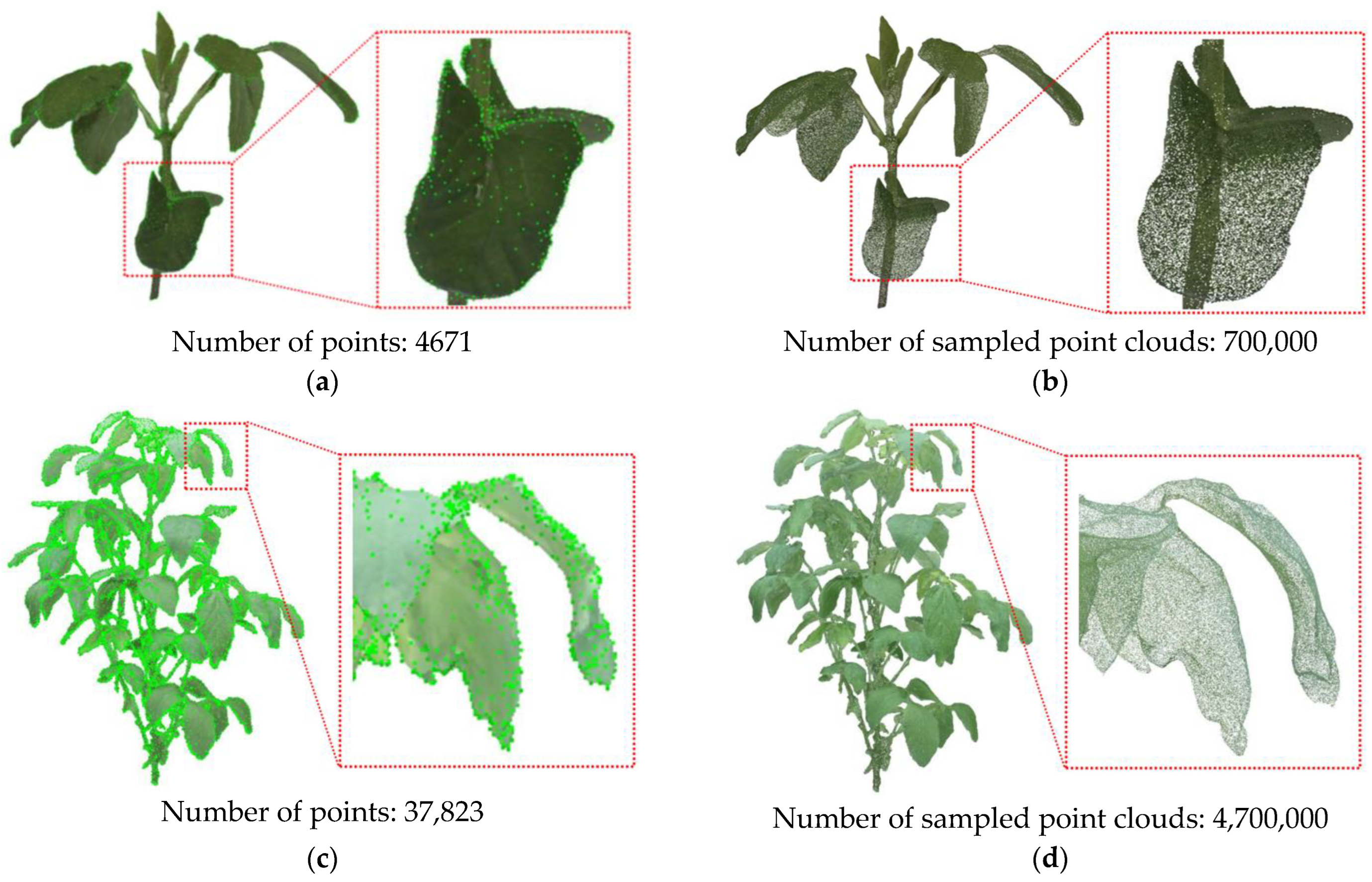 Agriculture 13 01321 g006 Agriculture 13 01321 g006