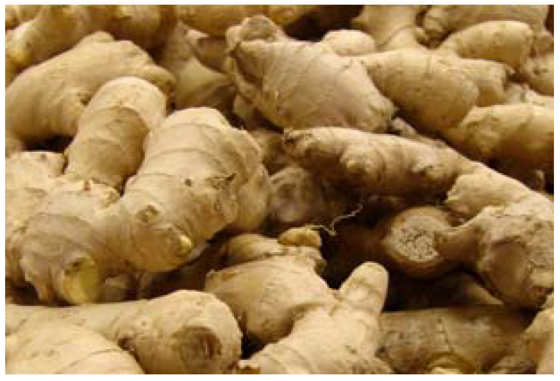 Agriculture 13 01322 g001